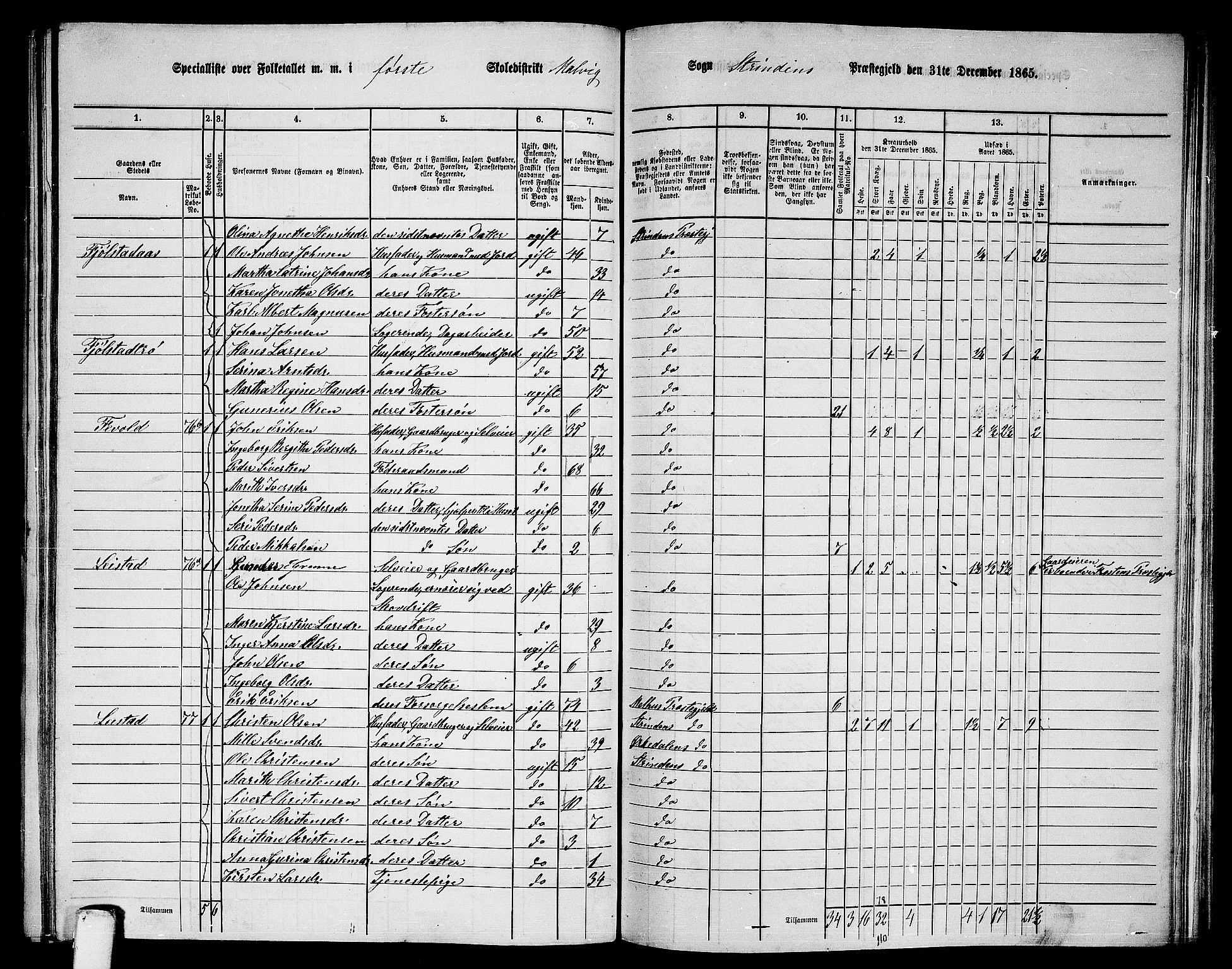 RA, 1865 census for Strinda, 1865, p. 189