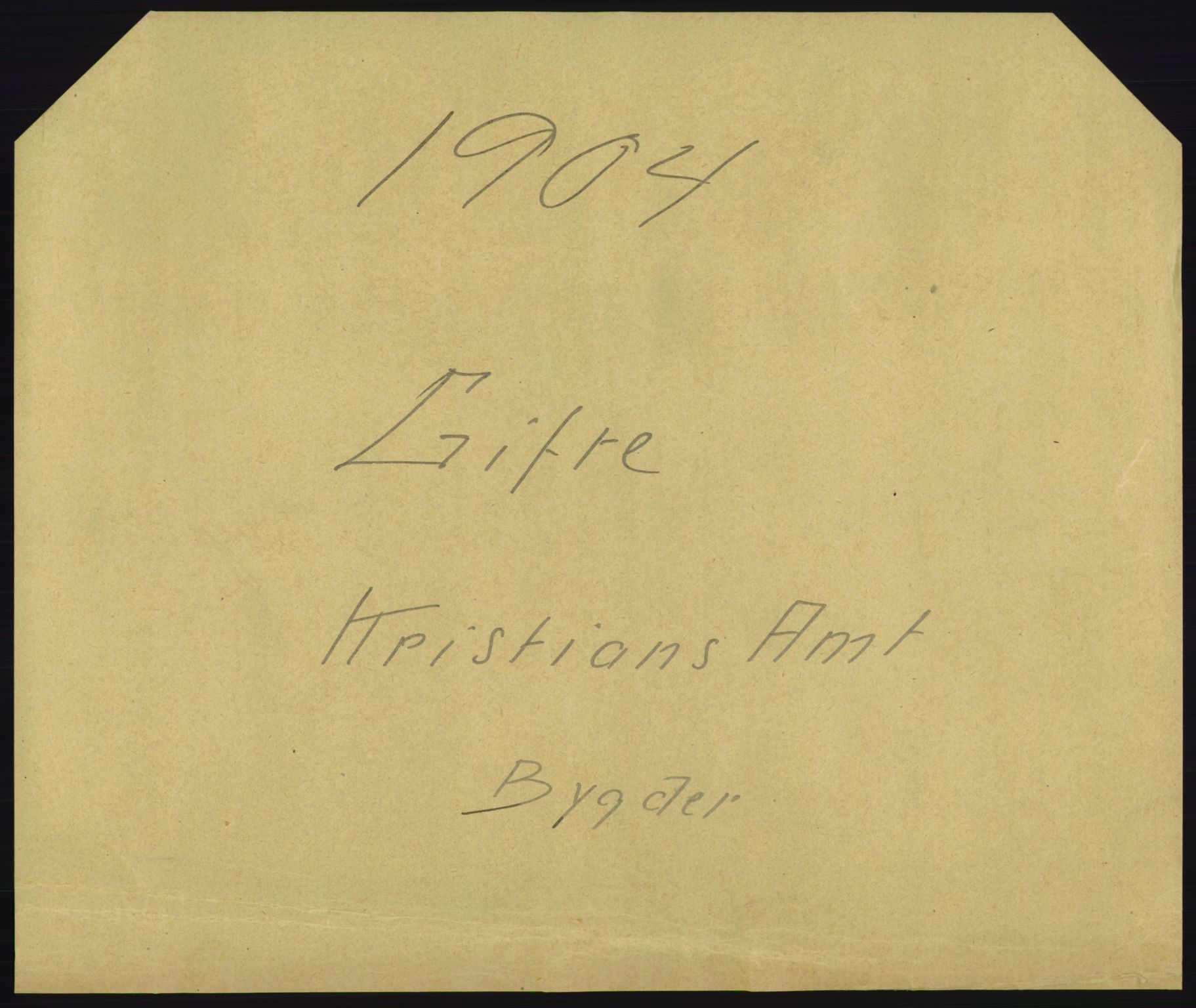 Statistisk sentralbyrå, Sosiodemografiske emner, Befolkning, AV/RA-S-2228/D/Df/Dfa/Dfab/L0006: Kristians amt: Fødte, gifte, døde, 1904, p. 693