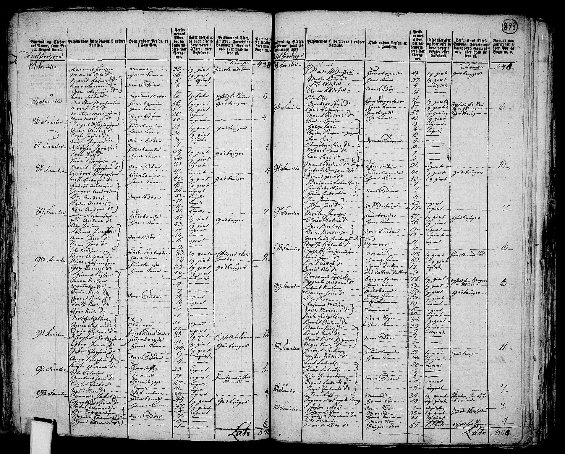 RA, 1801 census for 0437P Tynset, 1801, p. 872b-873a