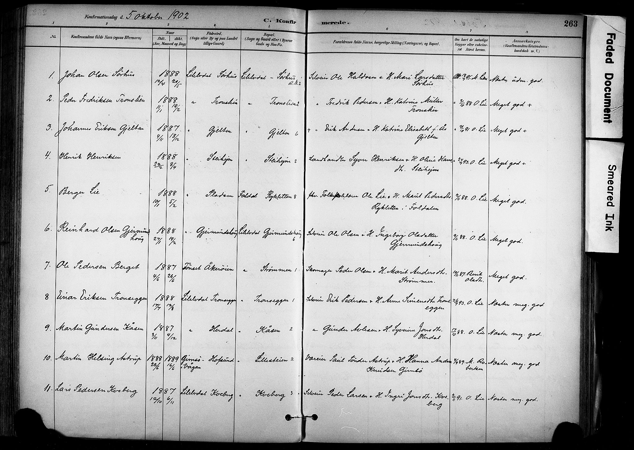 Alvdal prestekontor, SAH/PREST-060/H/Ha/Haa/L0002: Parish register (official) no. 2, 1883-1906, p. 263