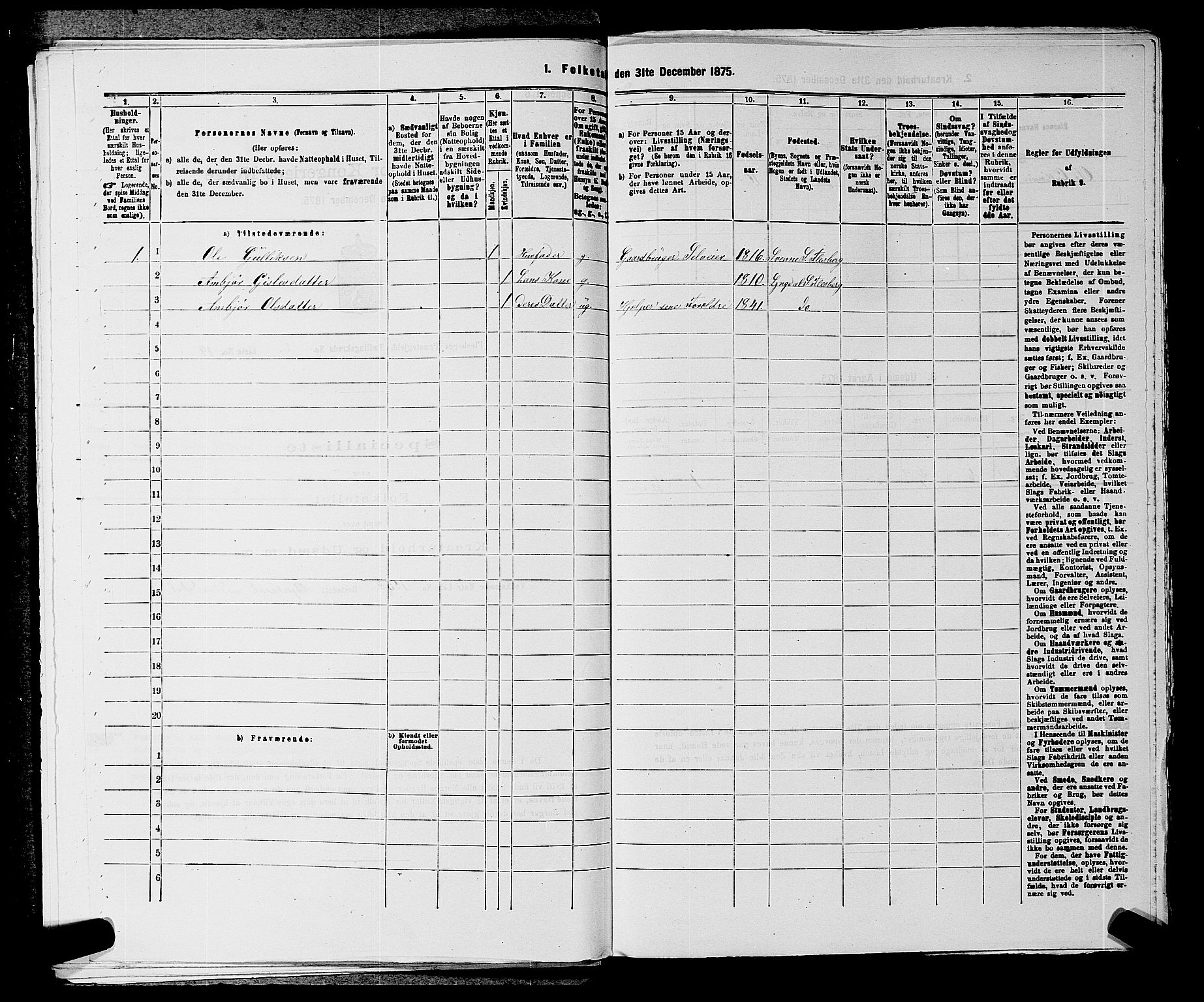 SAKO, 1875 census for 0631P Flesberg, 1875, p. 518