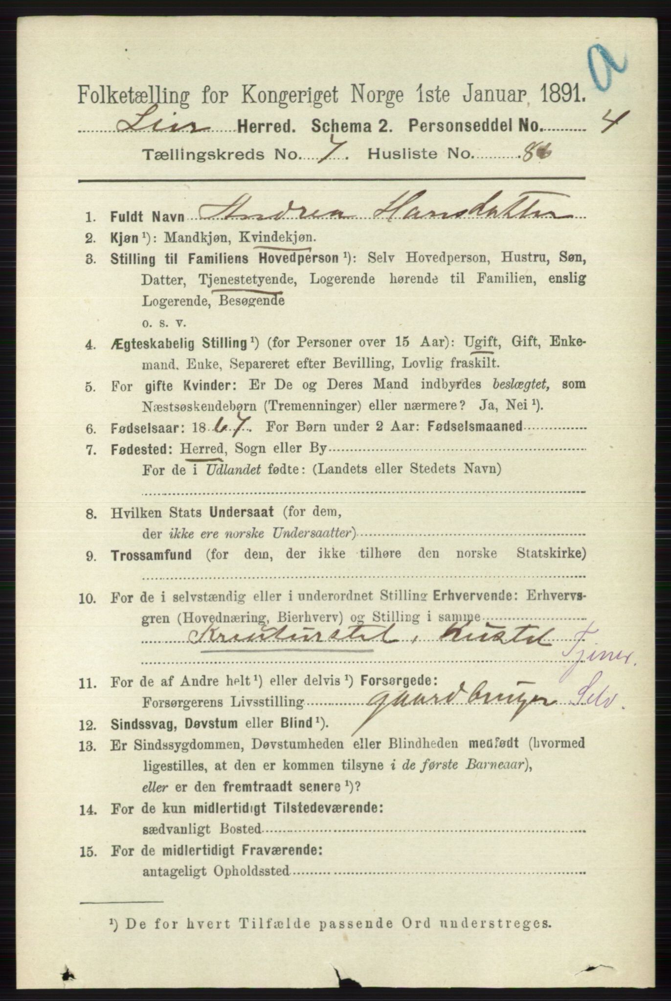 RA, 1891 census for 0626 Lier, 1891, p. 4989