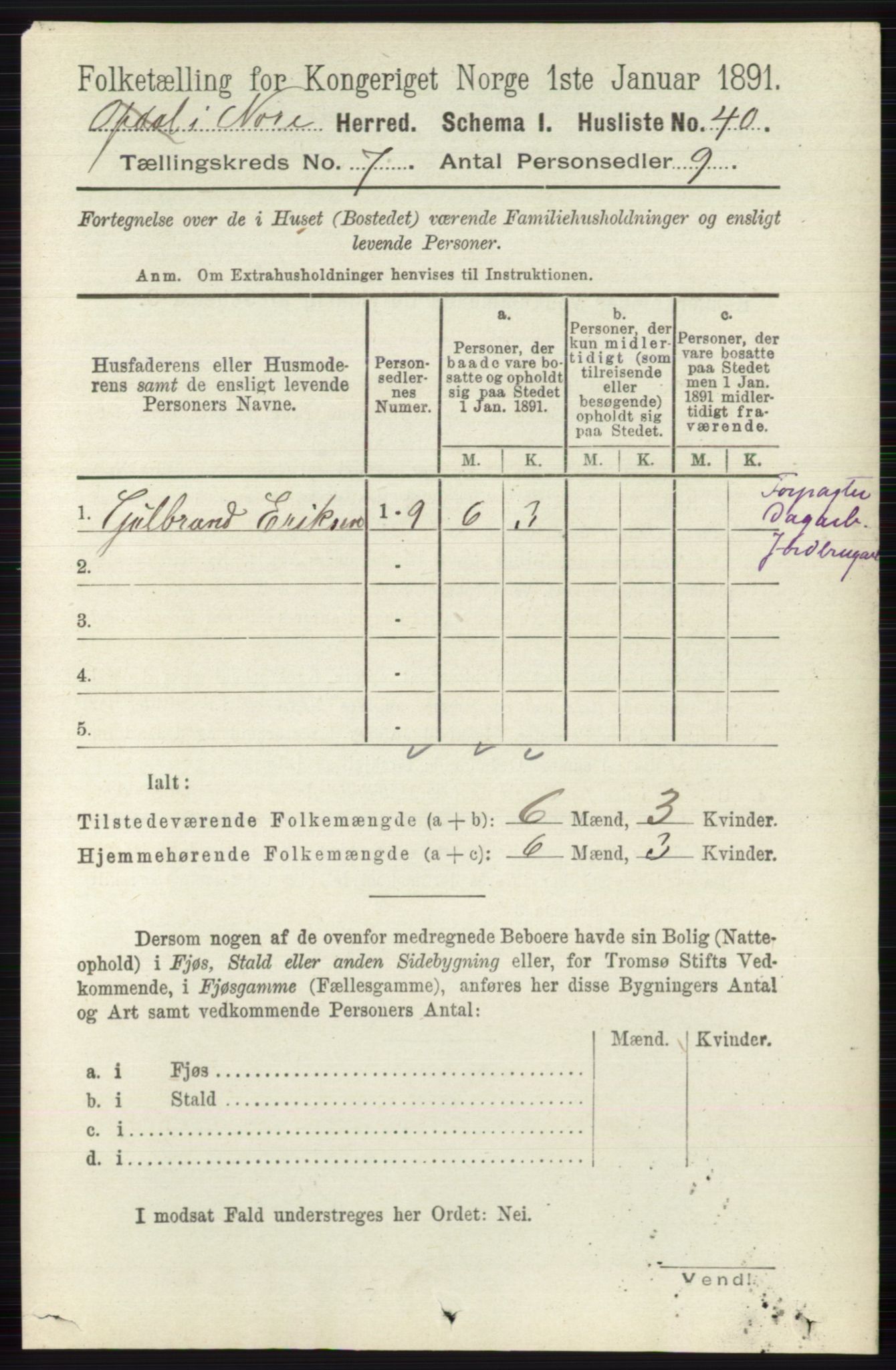 RA, 1891 census for 0633 Nore, 1891, p. 2602