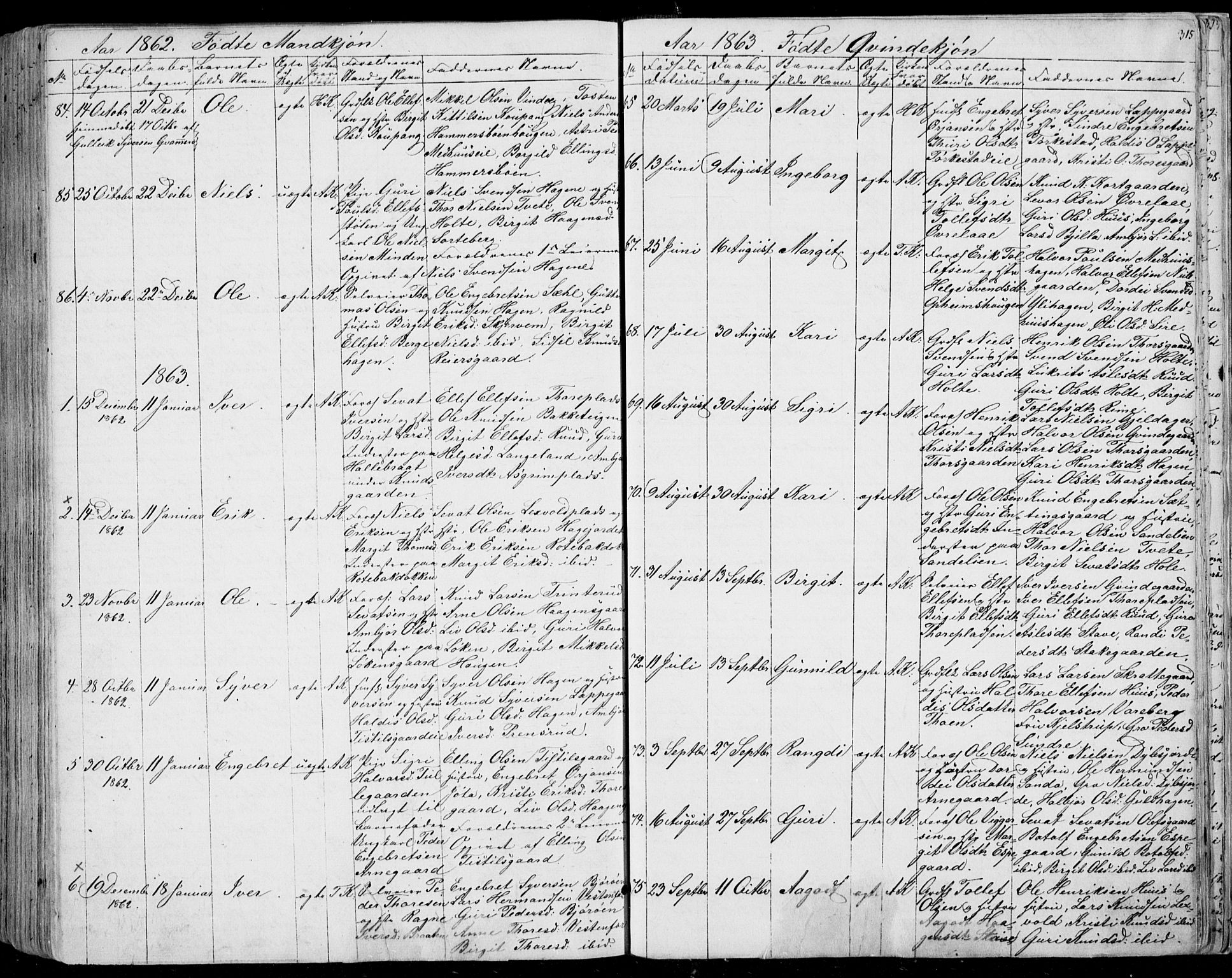 Ål kirkebøker, SAKO/A-249/F/Fa/L0006: Parish register (official) no. I 6, 1849-1864, p. 315
