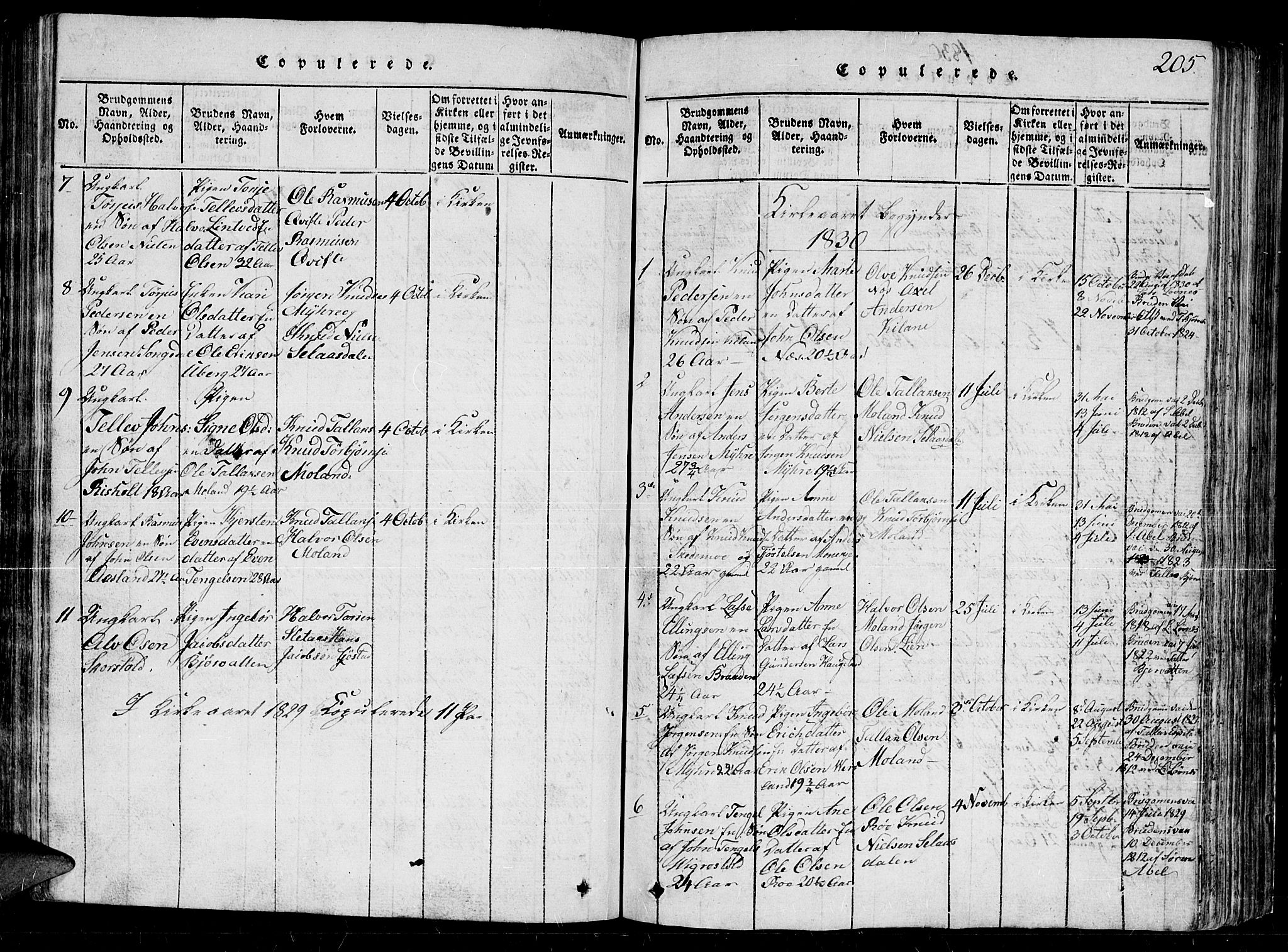 Gjerstad sokneprestkontor, SAK/1111-0014/F/Fb/Fbb/L0001: Parish register (copy) no. B 1, 1813-1863, p. 205