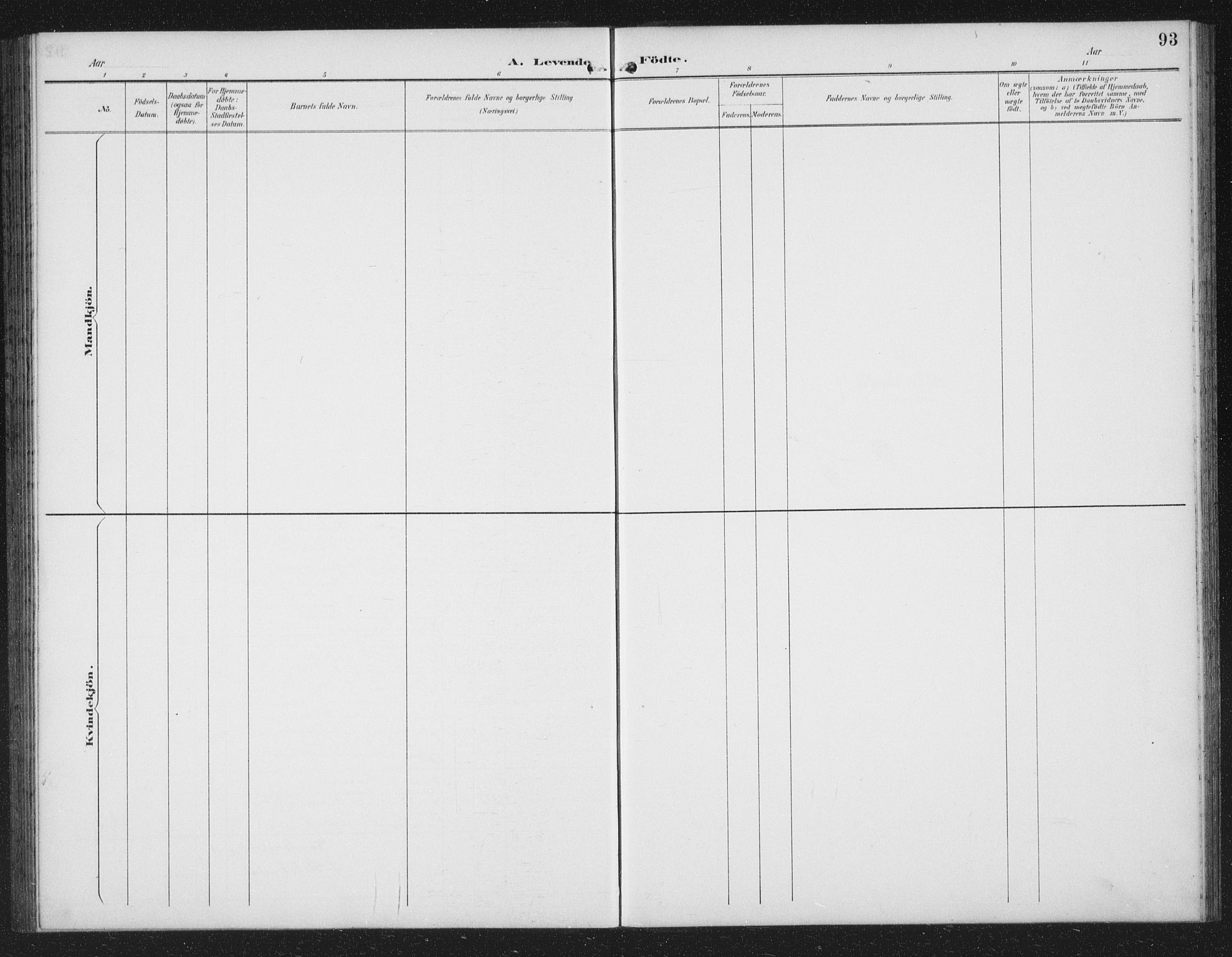 Ministerialprotokoller, klokkerbøker og fødselsregistre - Møre og Romsdal, SAT/A-1454/519/L0264: Parish register (copy) no. 519C05, 1892-1910, p. 93