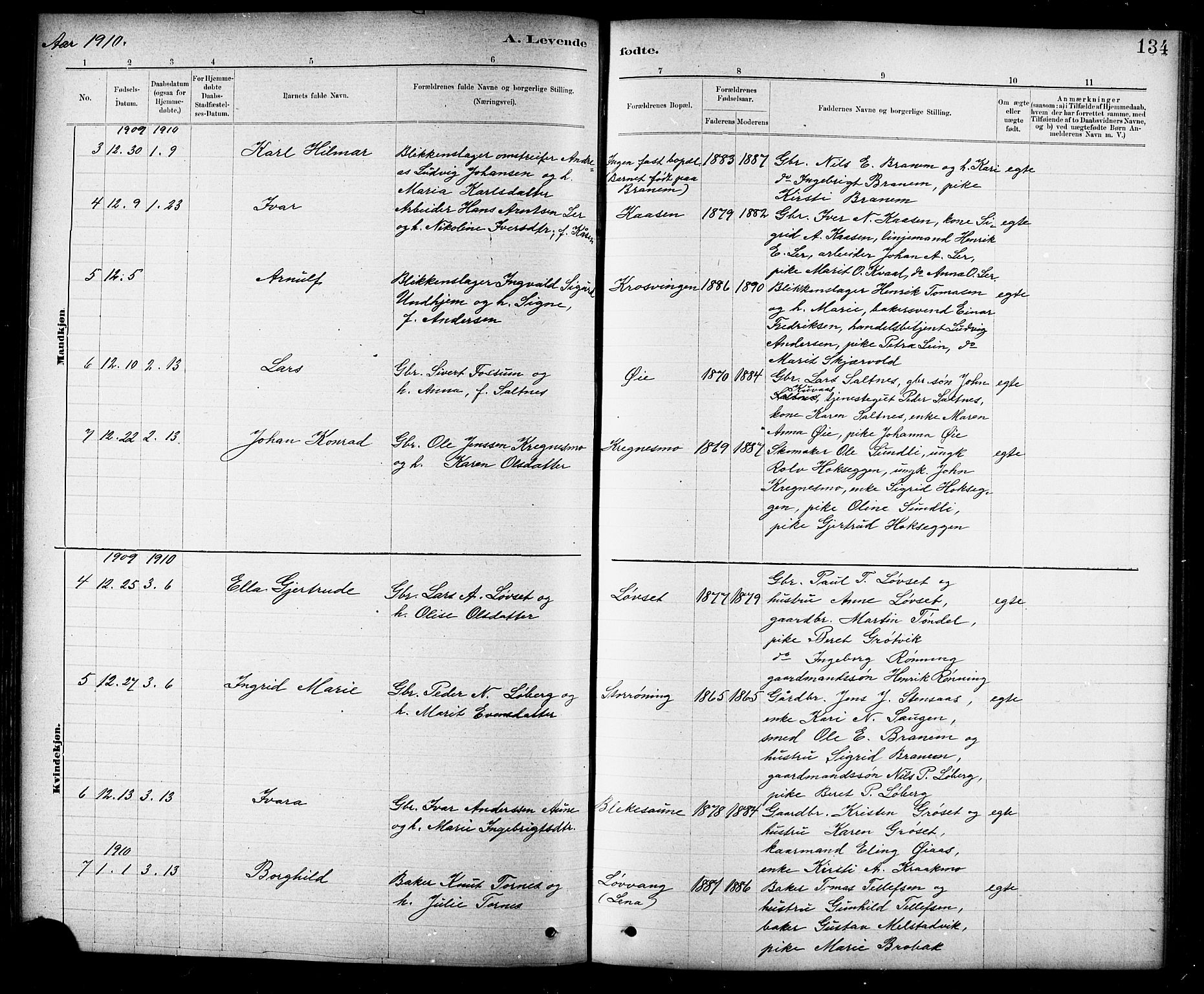 Ministerialprotokoller, klokkerbøker og fødselsregistre - Sør-Trøndelag, SAT/A-1456/691/L1094: Parish register (copy) no. 691C05, 1879-1911, p. 134