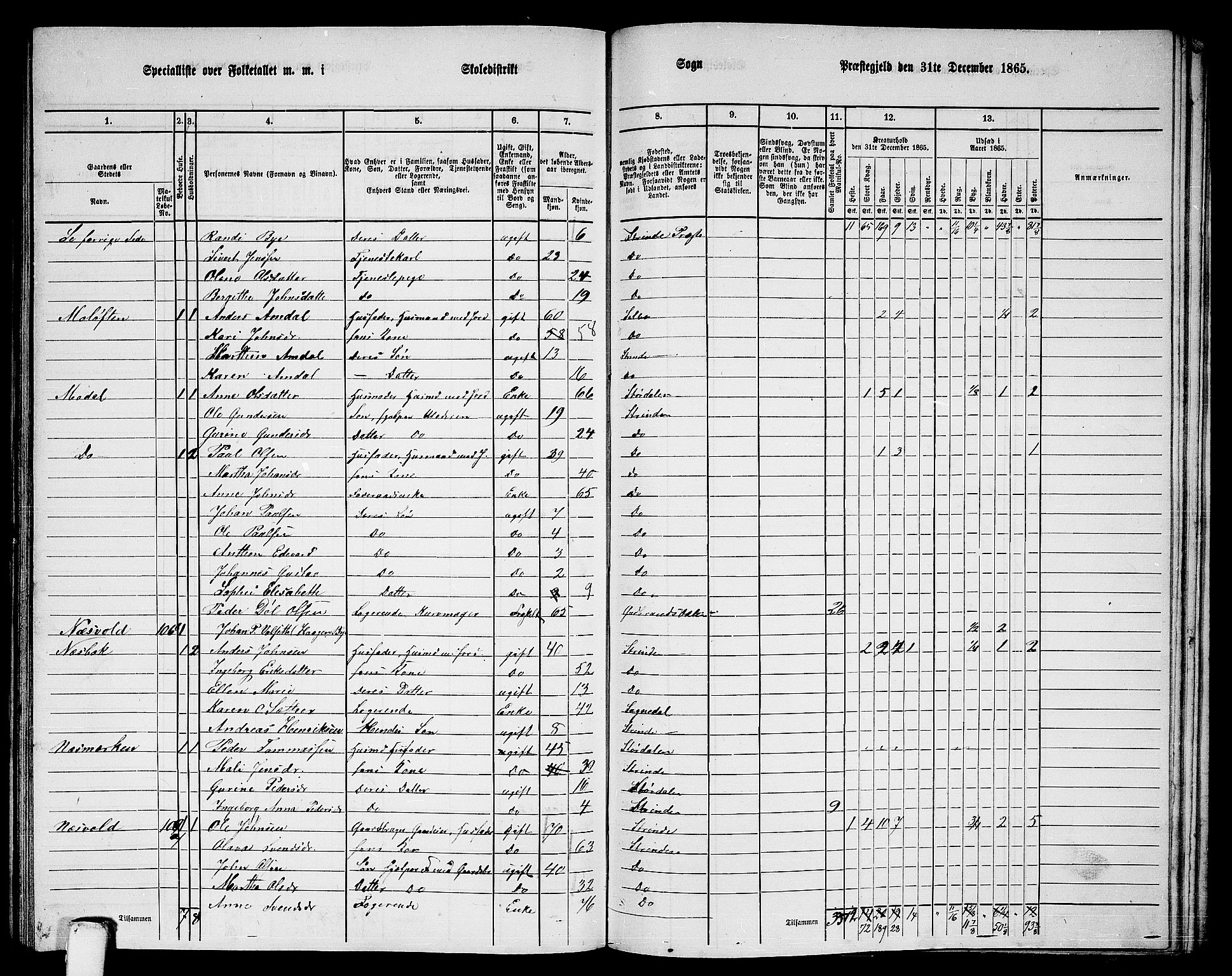 RA, 1865 census for Strinda, 1865, p. 235