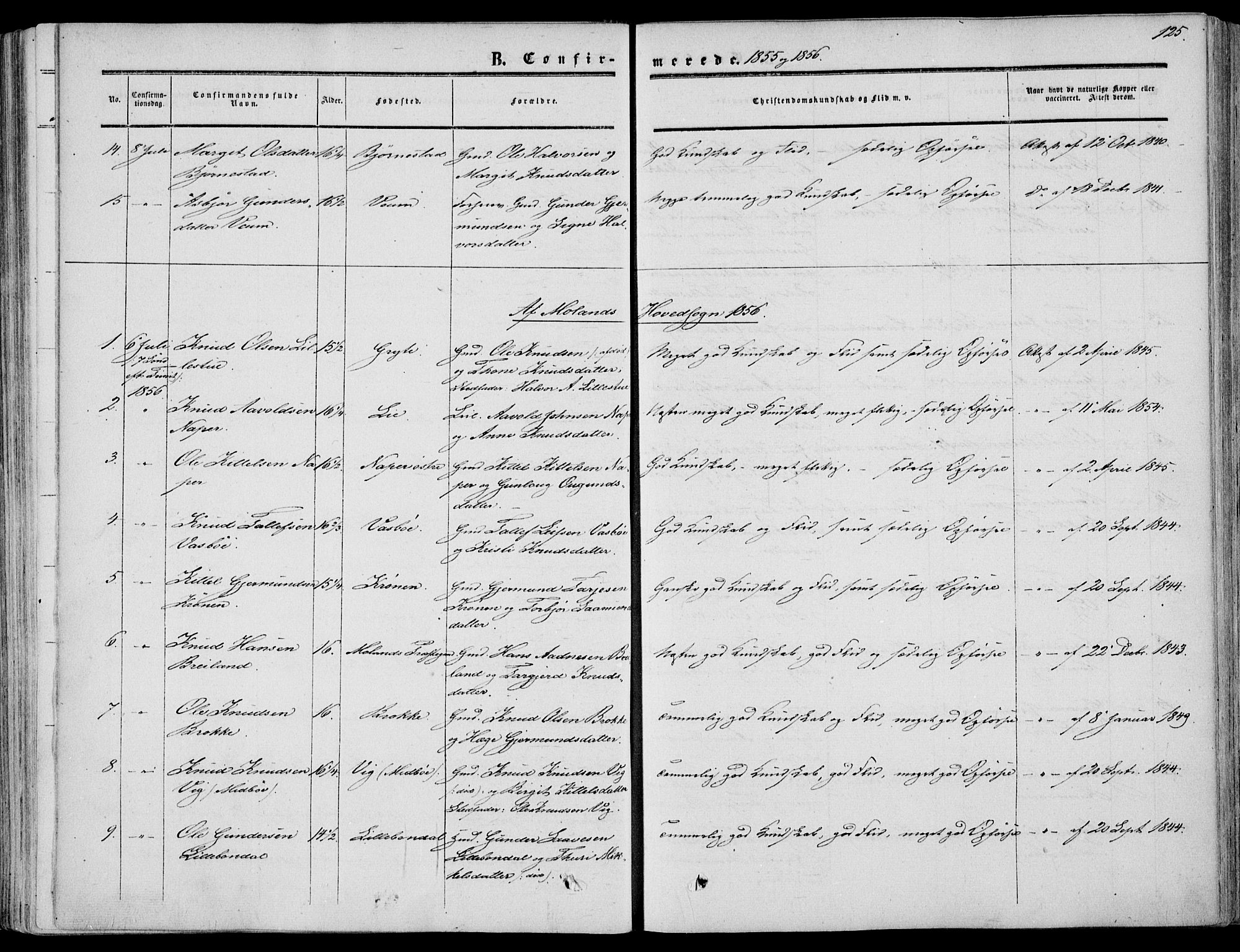 Fyresdal kirkebøker, SAKO/A-263/F/Fa/L0005: Parish register (official) no. I 5, 1855-1871, p. 125