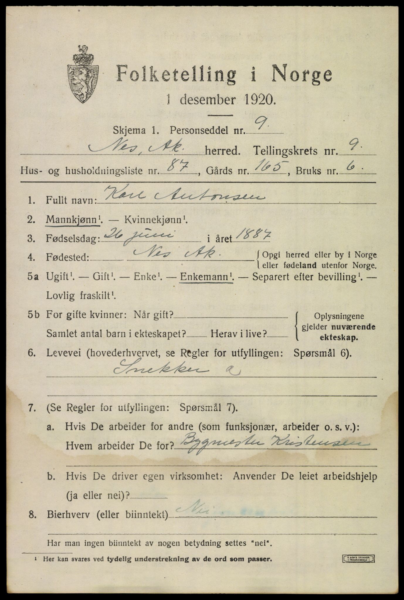 SAO, 1920 census for Nes, 1920, p. 10982