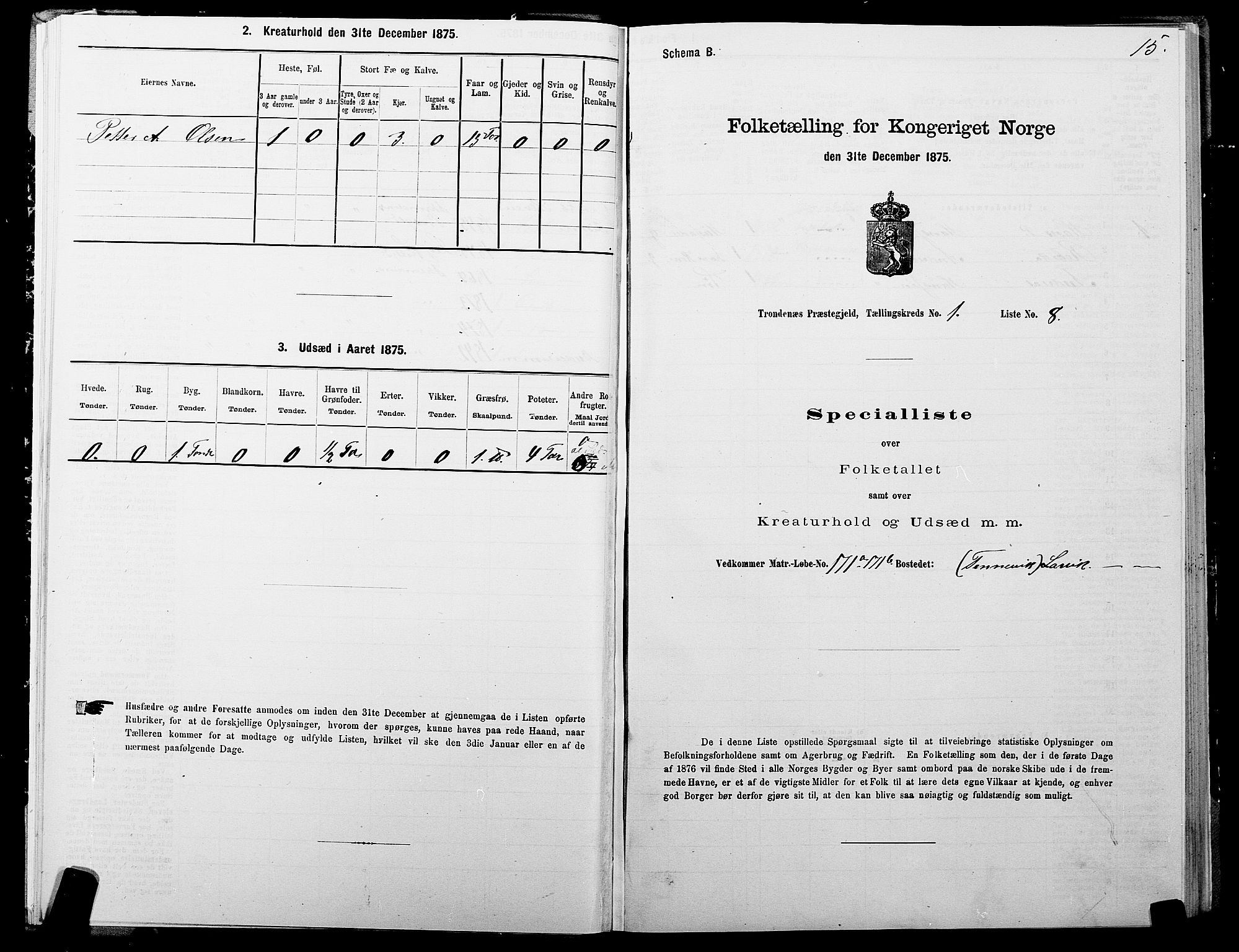 SATØ, 1875 census for 1914P Trondenes, 1875, p. 1015