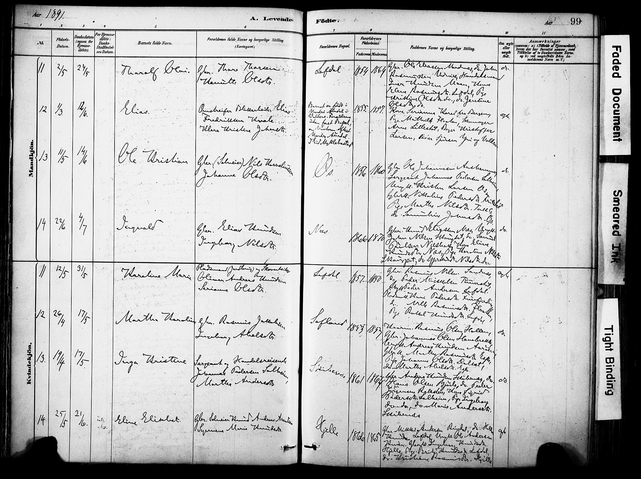 Eid sokneprestembete, AV/SAB-A-82301/H/Haa/Haab/L0001: Parish register (official) no. B 1, 1879-1906, p. 99