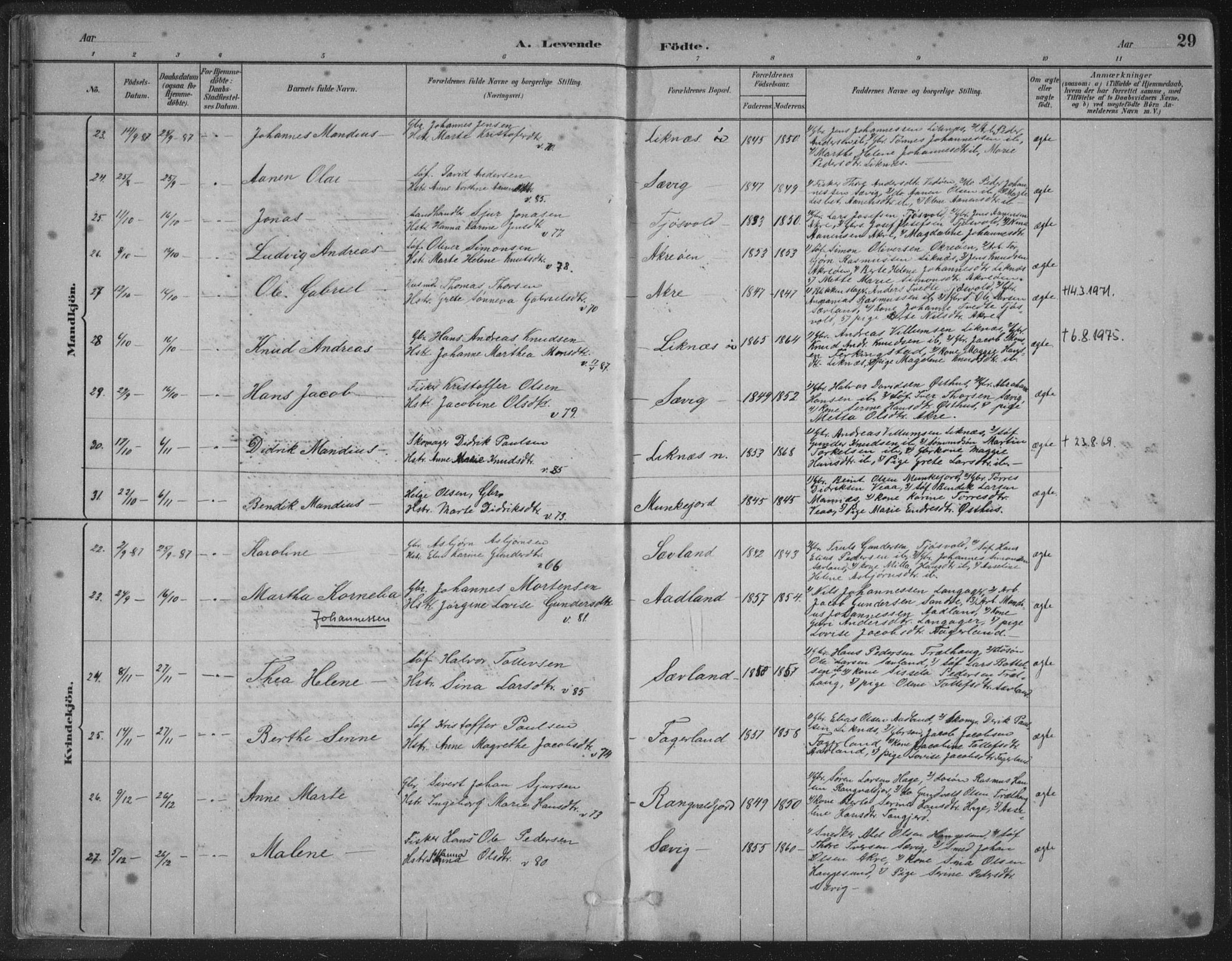 Kopervik sokneprestkontor, AV/SAST-A-101850/H/Ha/Haa/L0004: Parish register (official) no. A 4, 1882-1905, p. 29