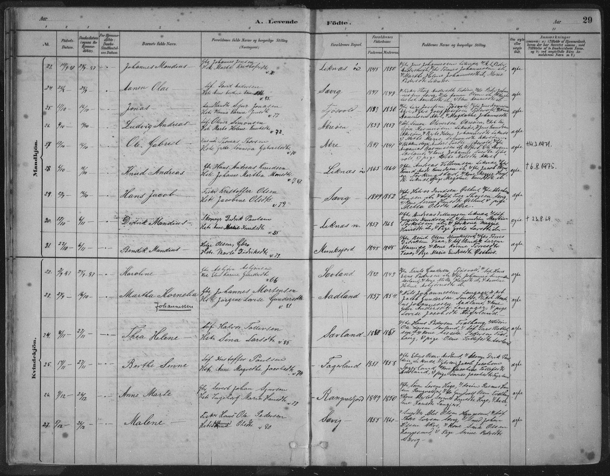 Kopervik sokneprestkontor, SAST/A-101850/H/Ha/Haa/L0004: Parish register (official) no. A 4, 1882-1905, p. 29