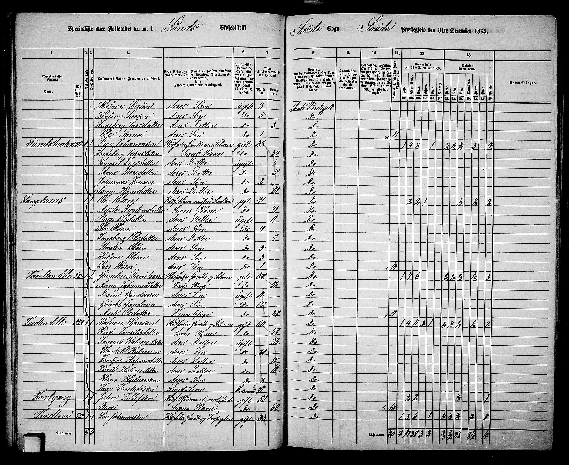 RA, 1865 census for Sauherad, 1865, p. 49