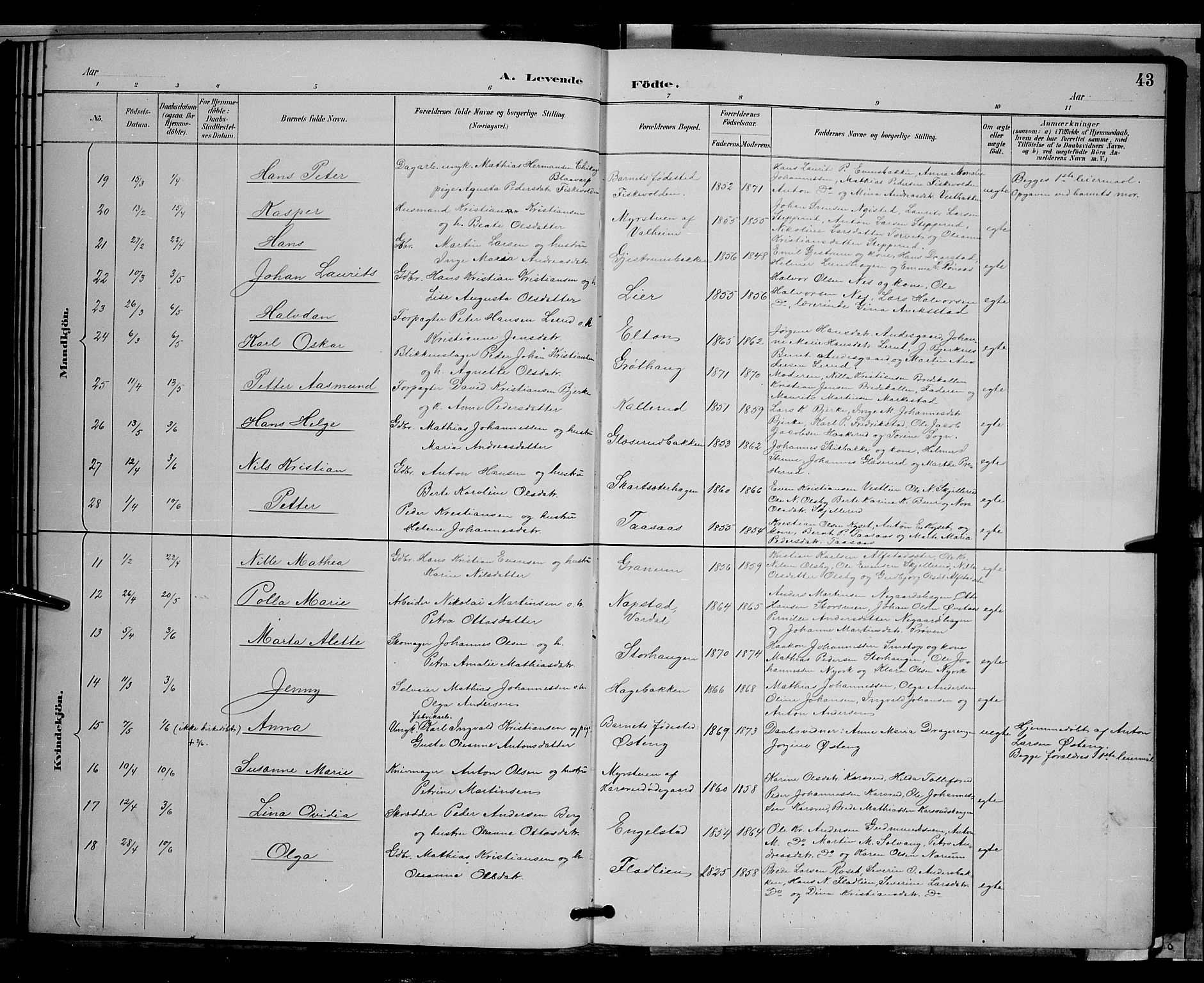 Vestre Toten prestekontor, AV/SAH-PREST-108/H/Ha/Hab/L0009: Parish register (copy) no. 9, 1888-1900, p. 43