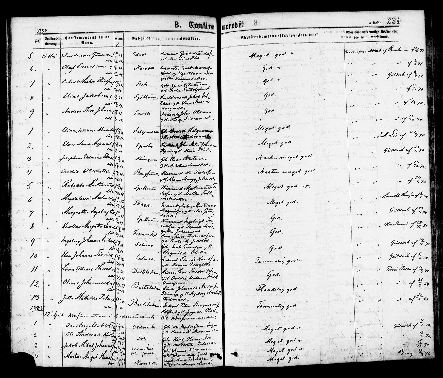 Ministerialprotokoller, klokkerbøker og fødselsregistre - Nord-Trøndelag, AV/SAT-A-1458/768/L0572: Parish register (official) no. 768A07, 1874-1886, p. 234