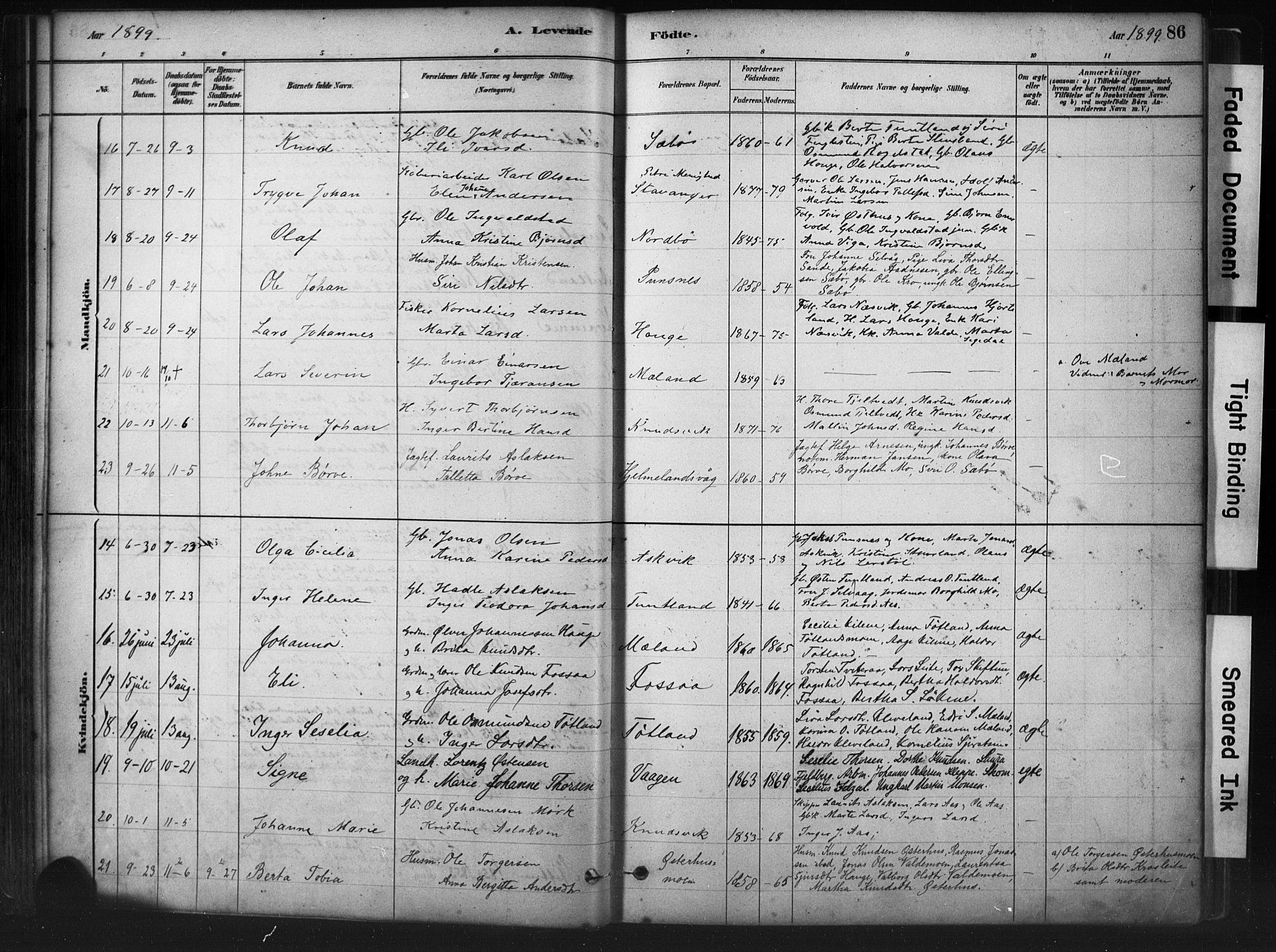 Hjelmeland sokneprestkontor, AV/SAST-A-101843/01/IV/L0014: Parish register (official) no. A 14, 1879-1900, p. 86