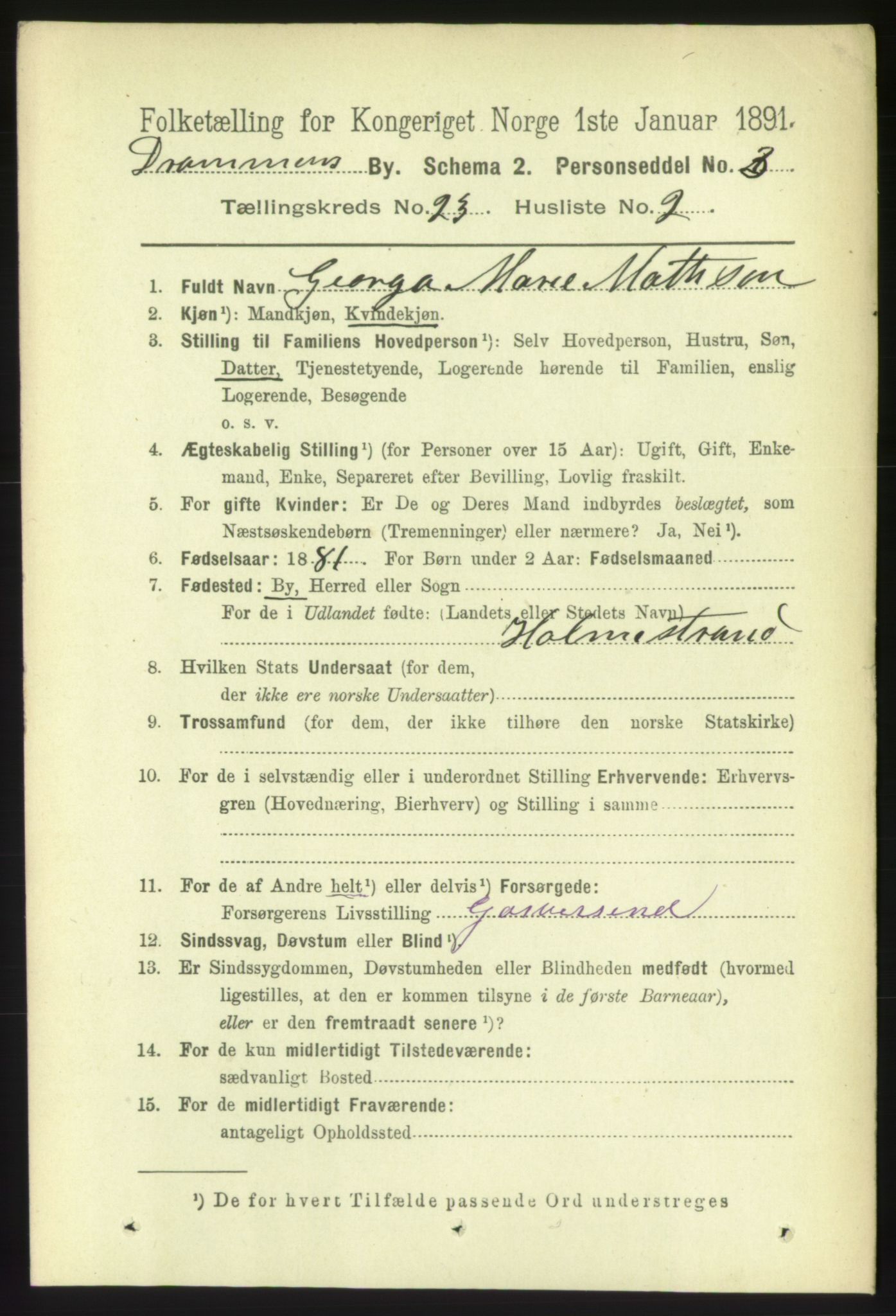 RA, 1891 census for 0602 Drammen, 1891, p. 14063