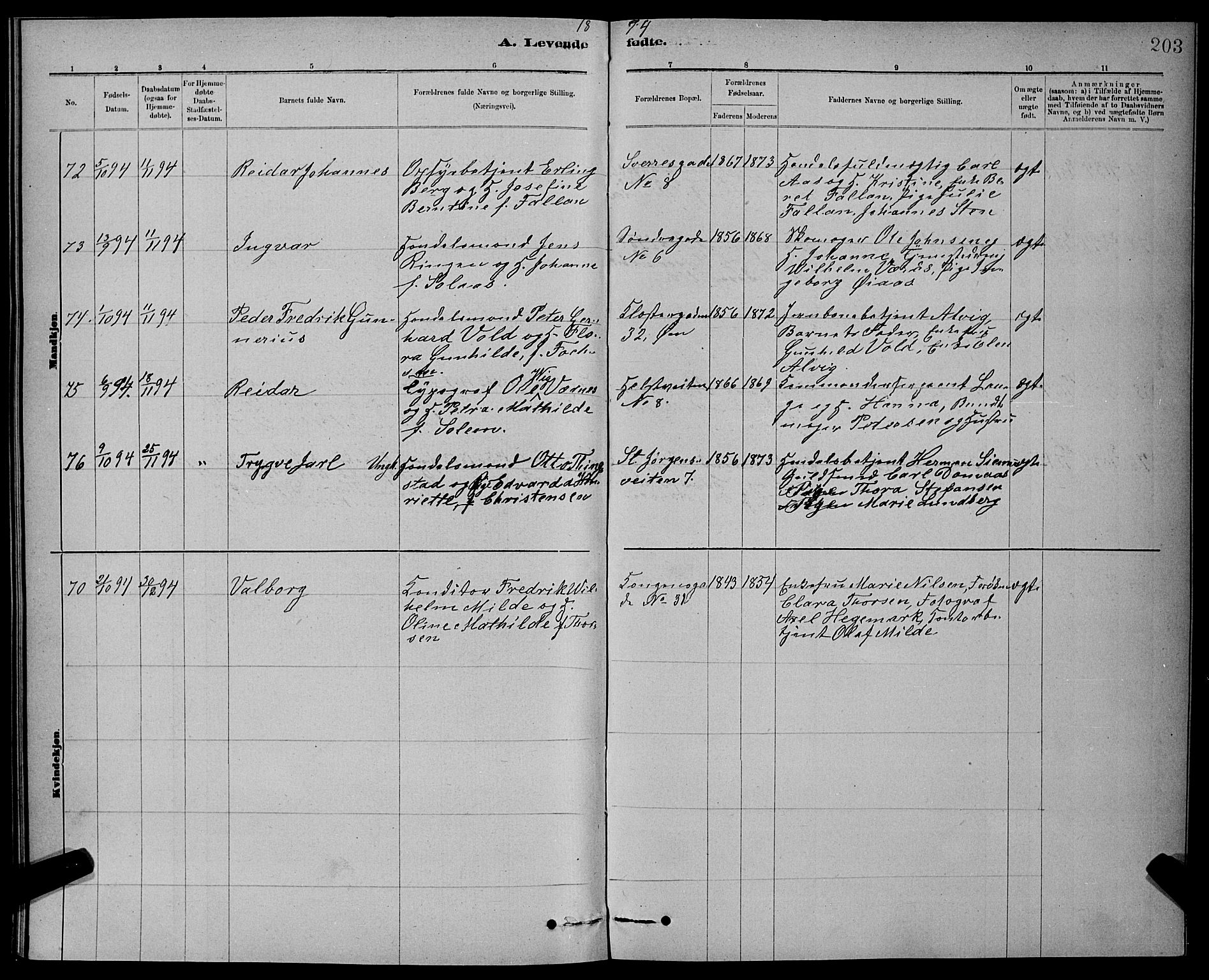 Ministerialprotokoller, klokkerbøker og fødselsregistre - Sør-Trøndelag, AV/SAT-A-1456/601/L0092: Parish register (copy) no. 601C10, 1884-1897, p. 203