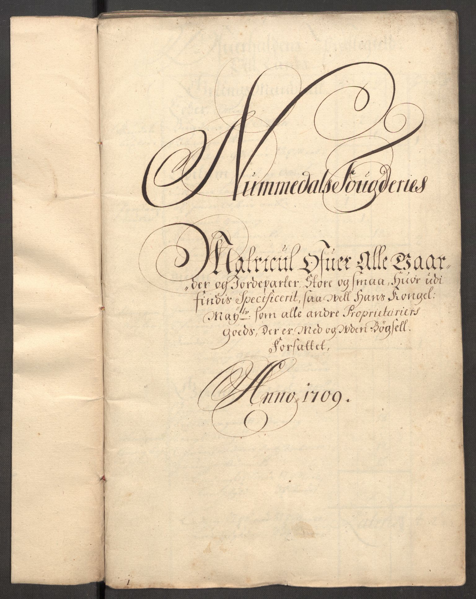 Rentekammeret inntil 1814, Reviderte regnskaper, Fogderegnskap, RA/EA-4092/R64/L4431: Fogderegnskap Namdal, 1709-1710, p. 21