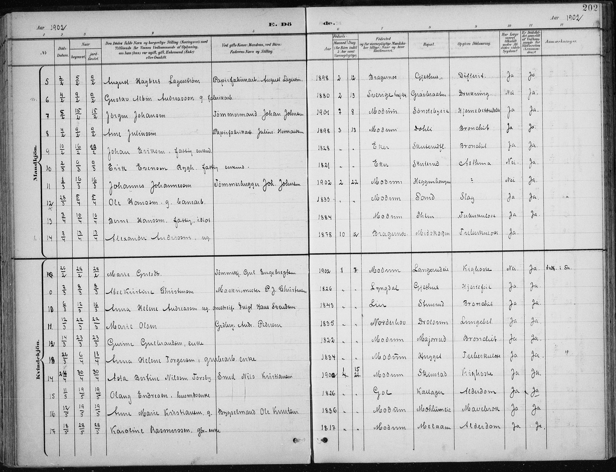 Modum kirkebøker, AV/SAKO-A-234/F/Fa/L0013: Parish register (official) no. 13, 1899-1907, p. 202