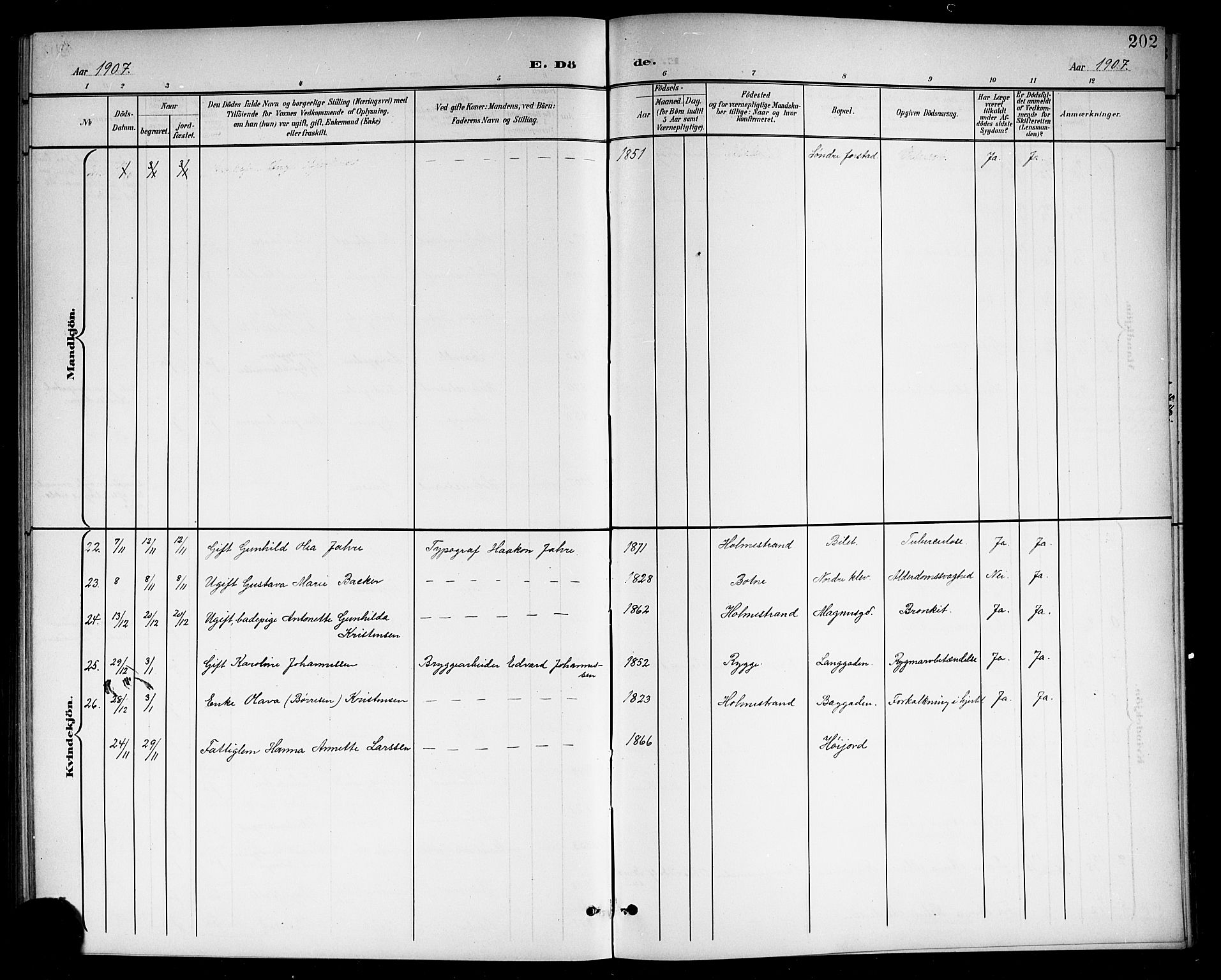 Holmestrand kirkebøker, SAKO/A-346/G/Ga/L0006: Parish register (copy) no. 6, 1901-1923, p. 202
