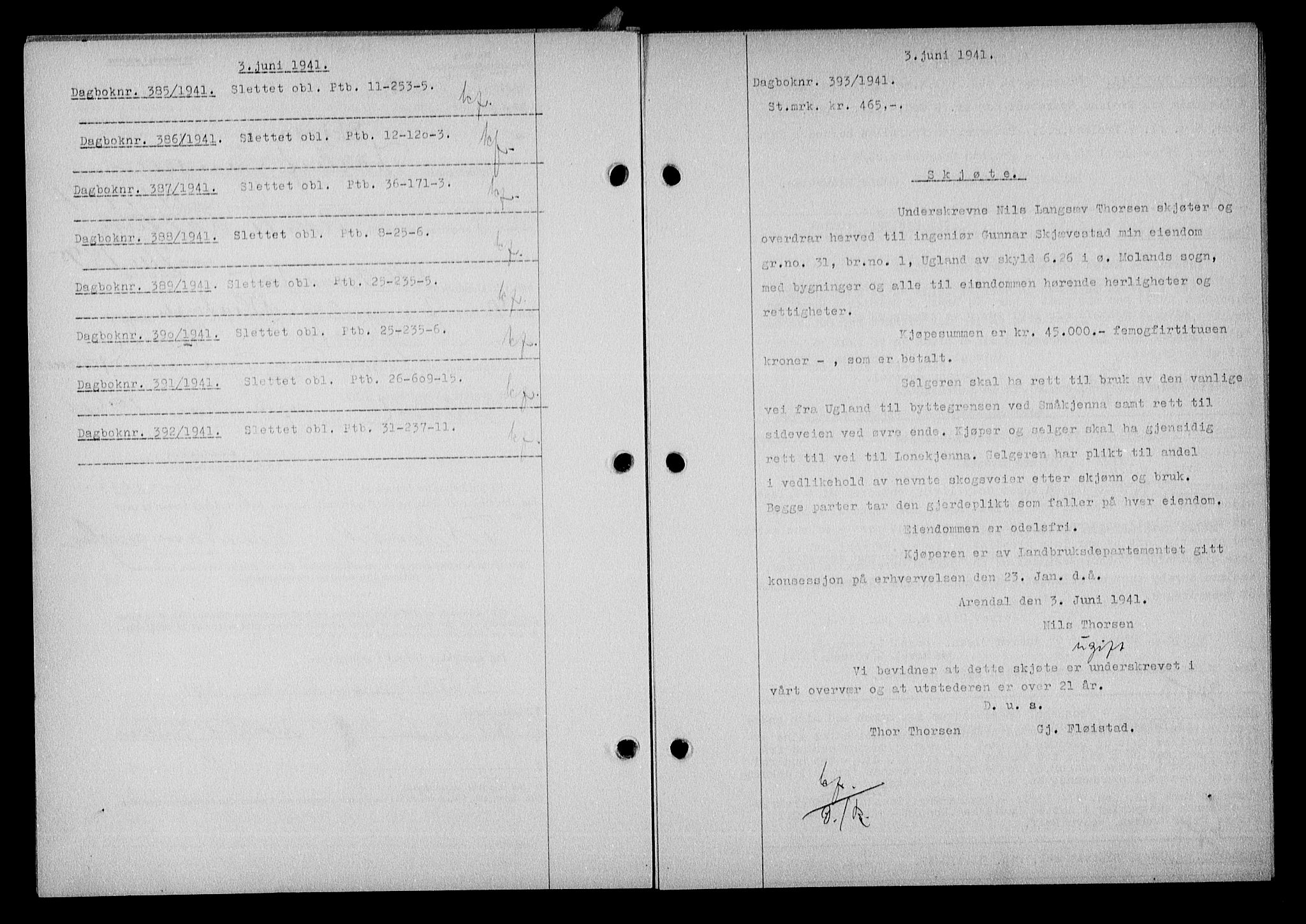 Nedenes sorenskriveri, SAK/1221-0006/G/Gb/Gba/L0048: Mortgage book no. A-II, 1940-1941, Diary no: : 393/1941
