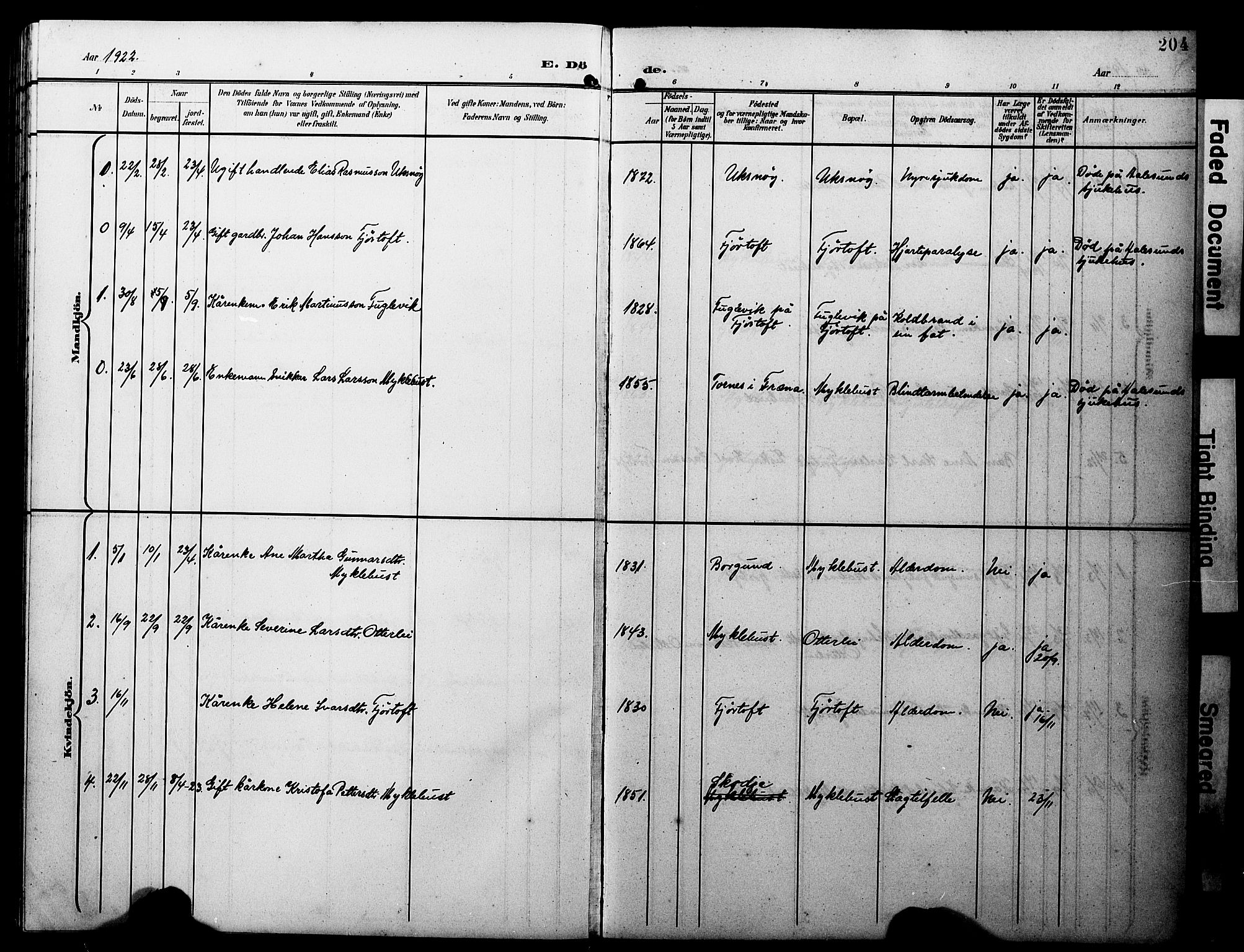 Ministerialprotokoller, klokkerbøker og fødselsregistre - Møre og Romsdal, AV/SAT-A-1454/538/L0524: Parish register (copy) no. 538C02, 1901-1931, p. 204