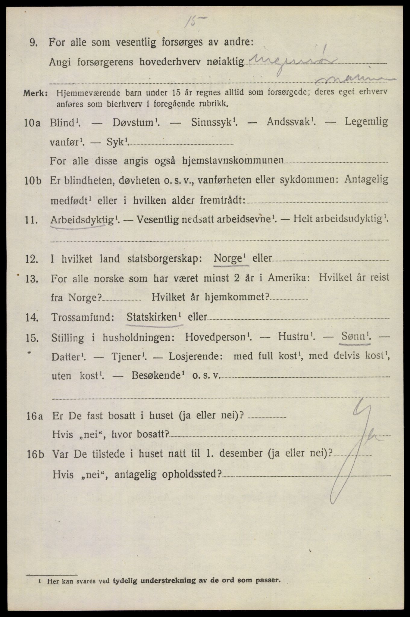 SAKO, 1920 census for Borre, 1920, p. 4921