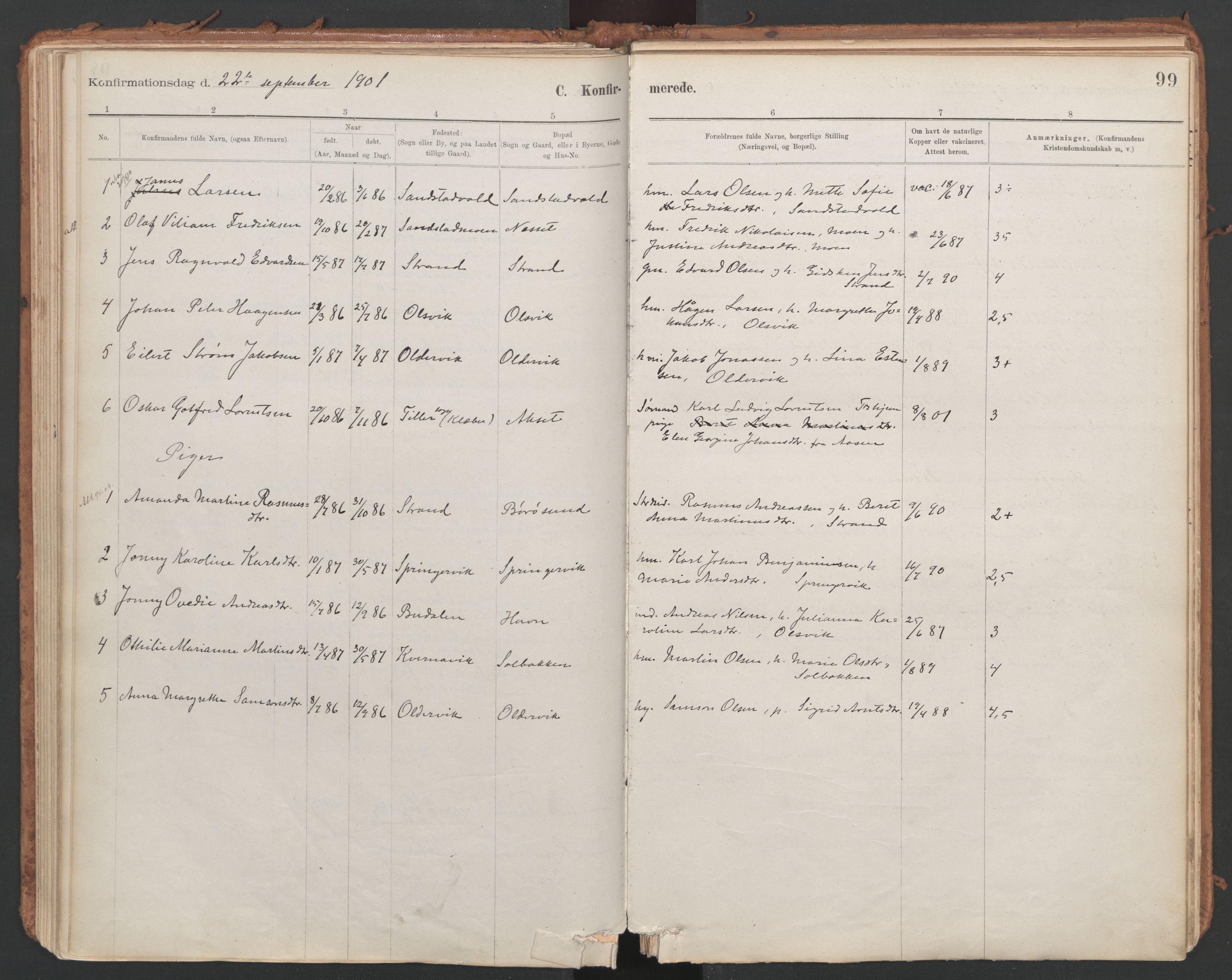 Ministerialprotokoller, klokkerbøker og fødselsregistre - Sør-Trøndelag, SAT/A-1456/639/L0572: Parish register (official) no. 639A01, 1890-1920, p. 99