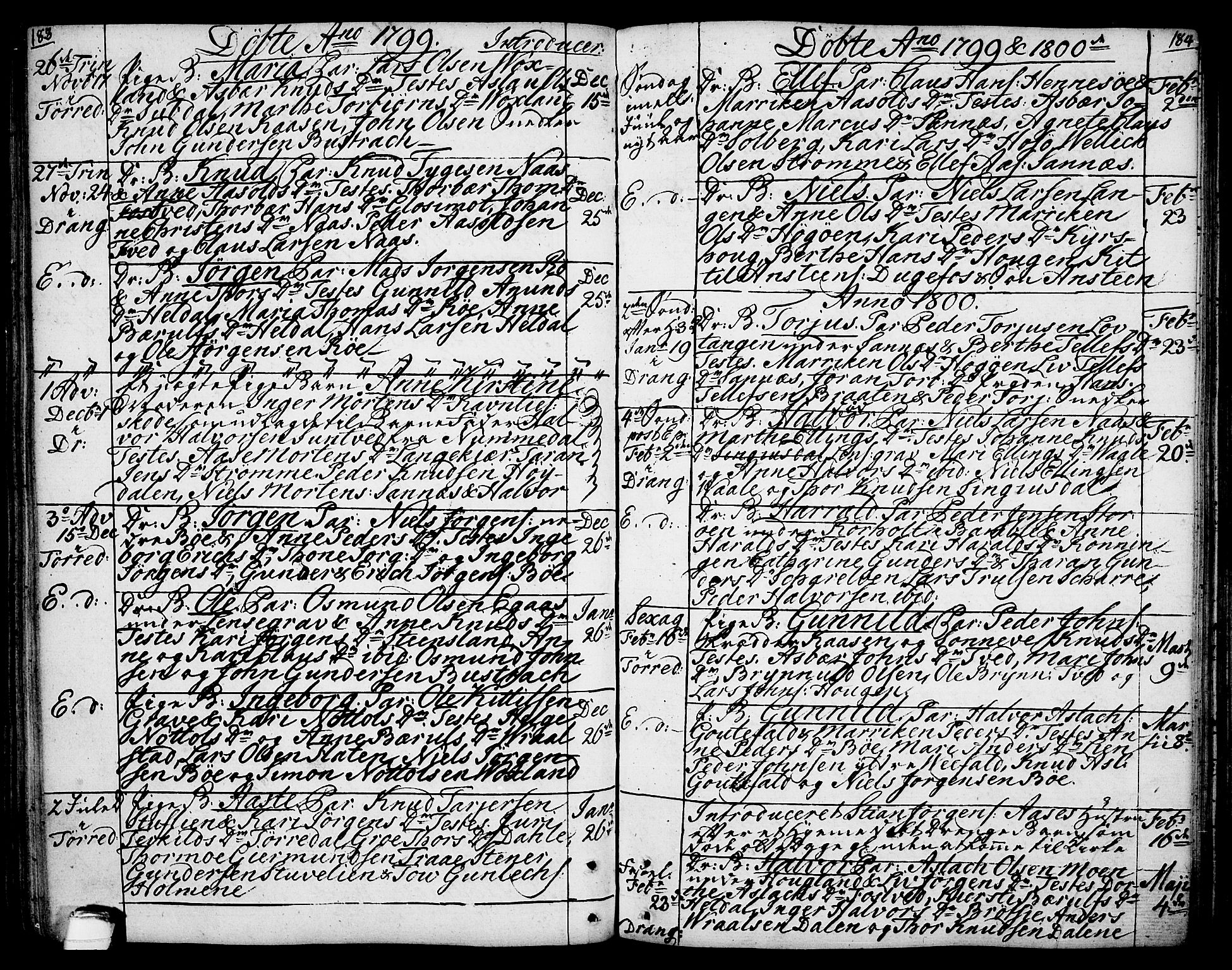 Drangedal kirkebøker, SAKO/A-258/F/Fa/L0003: Parish register (official) no. 3, 1768-1814, p. 183-184