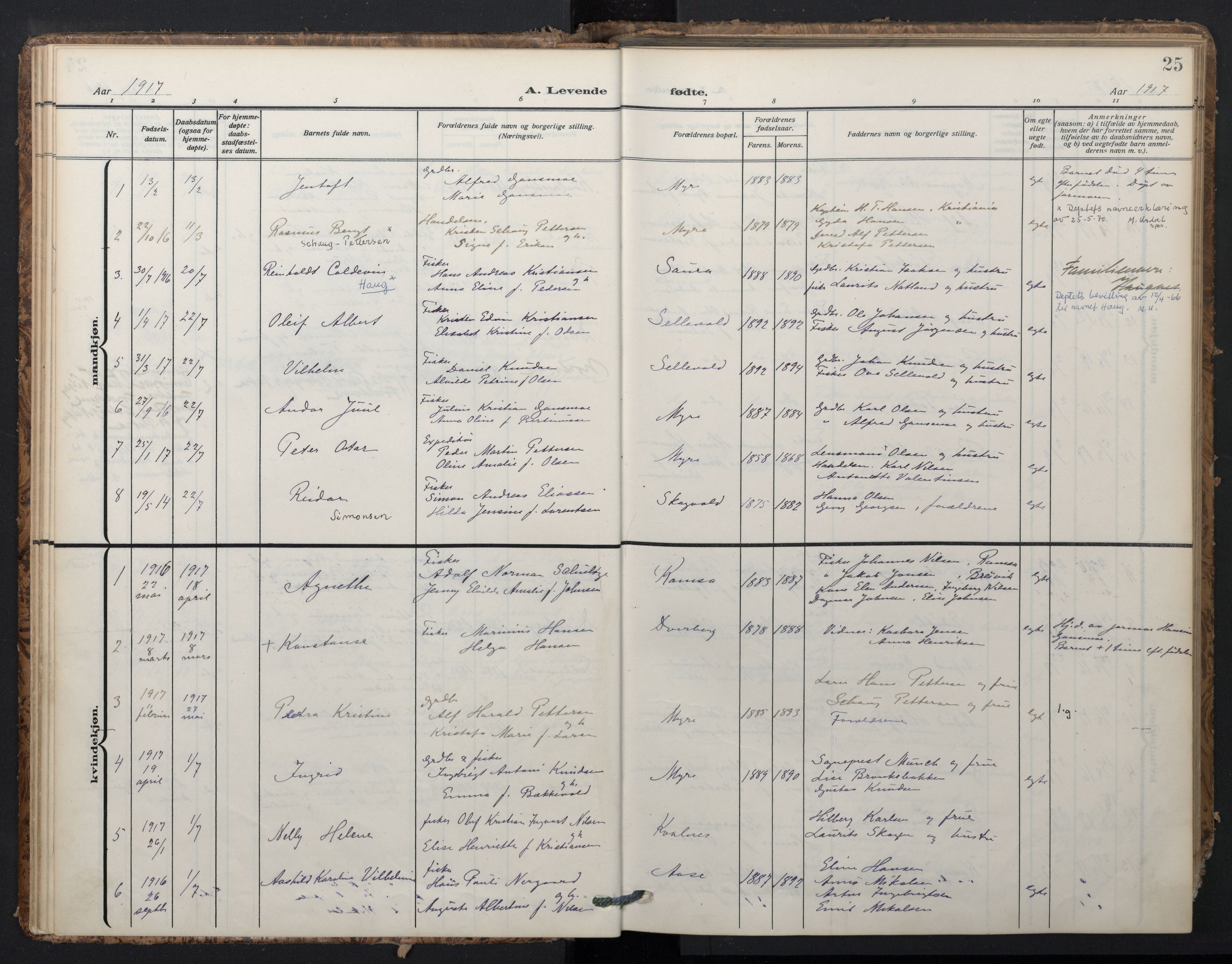 Ministerialprotokoller, klokkerbøker og fødselsregistre - Nordland, SAT/A-1459/897/L1401: Parish register (official) no. 897A08, 1909-1921, p. 25