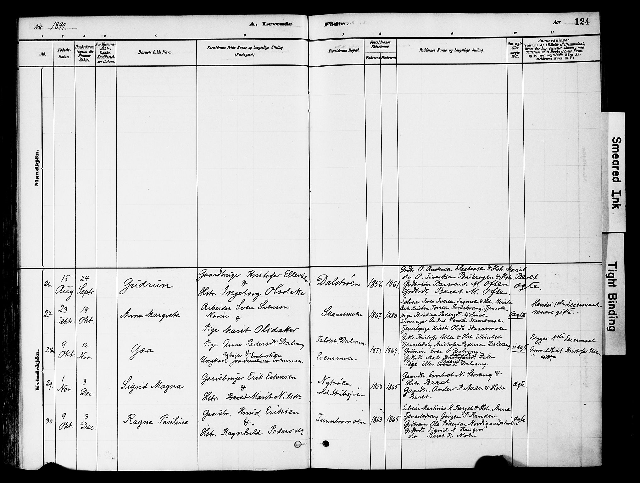 Tynset prestekontor, AV/SAH-PREST-058/H/Ha/Haa/L0022: Parish register (official) no. 22, 1880-1899, p. 124