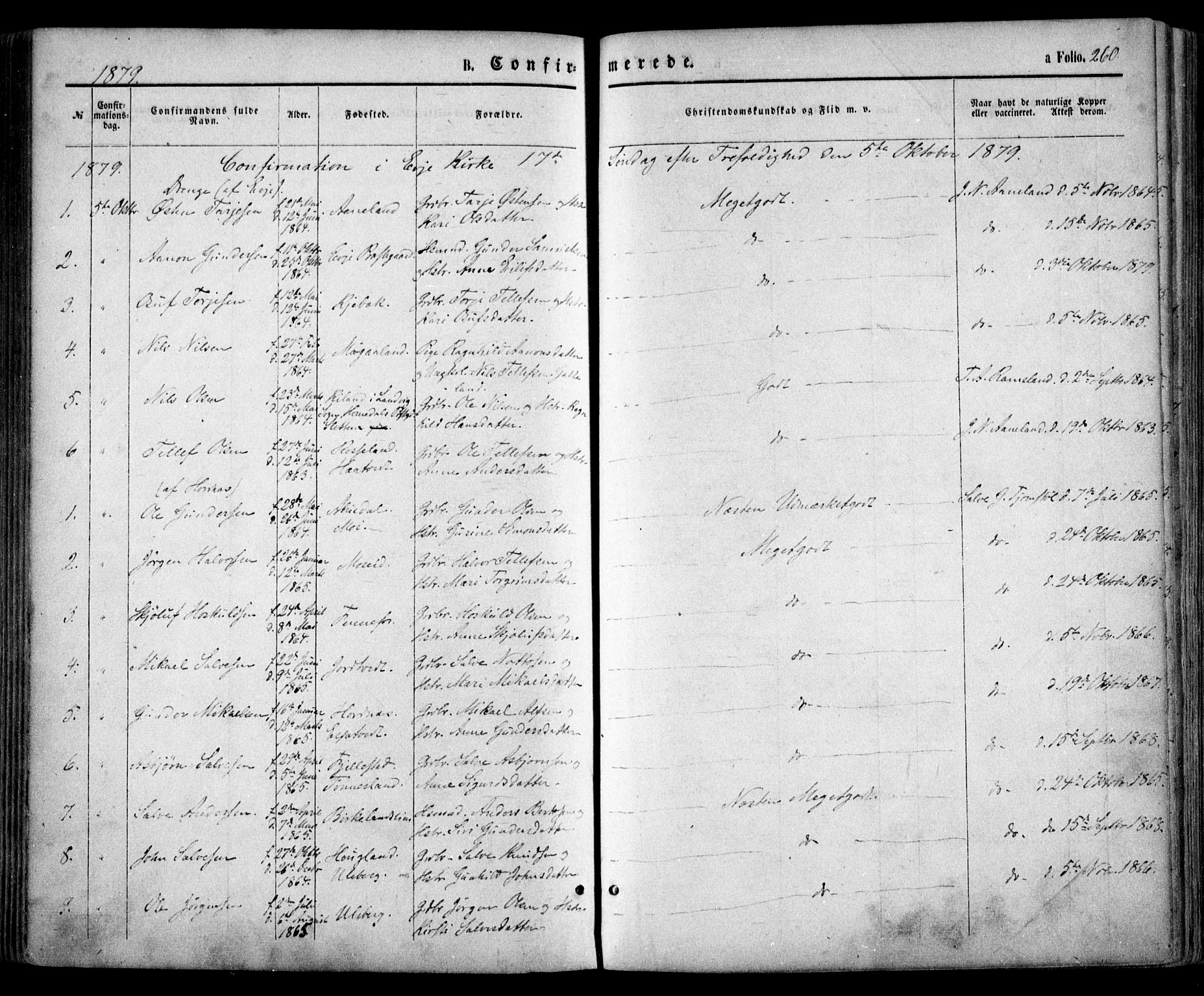 Evje sokneprestkontor, SAK/1111-0008/F/Fa/Faa/L0006: Parish register (official) no. A 6, 1866-1884, p. 260