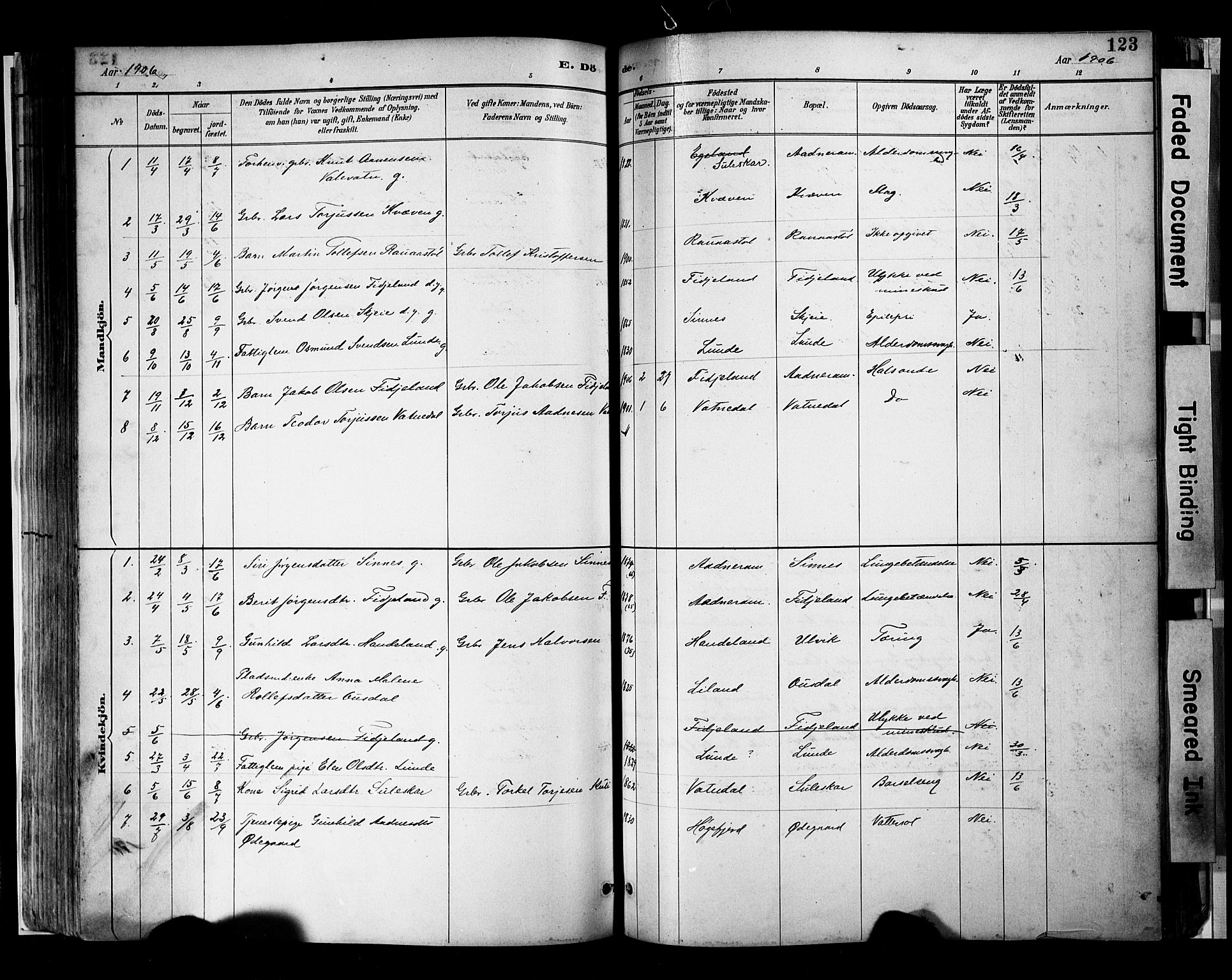 Sirdal sokneprestkontor, SAK/1111-0036/F/Fa/Faa/L0001: Parish register (official) no. A 1, 1887-1910, p. 123
