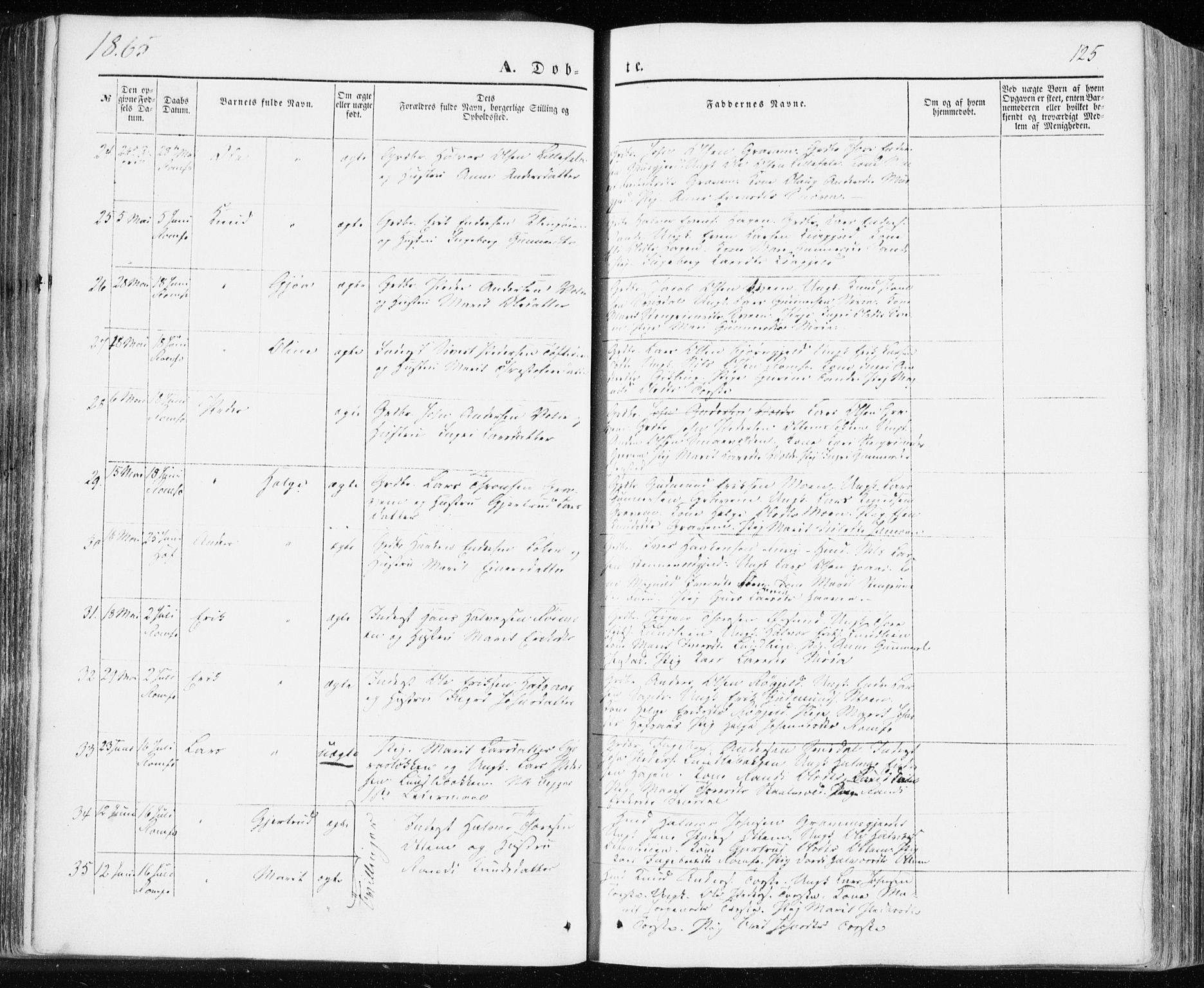 Ministerialprotokoller, klokkerbøker og fødselsregistre - Møre og Romsdal, AV/SAT-A-1454/590/L1013: Parish register (official) no. 590A05, 1847-1877, p. 125