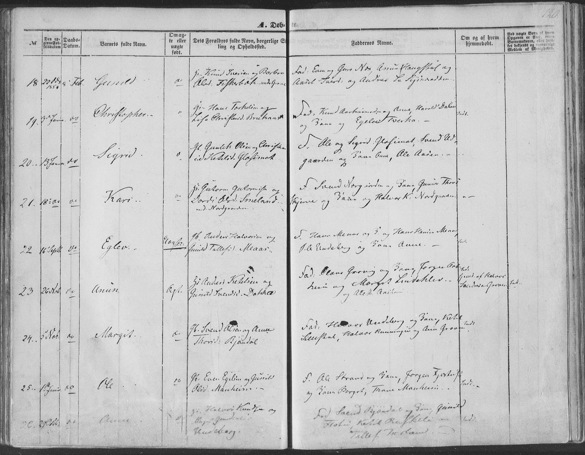 Seljord kirkebøker, SAKO/A-20/F/Fa/L012a: Parish register (official) no. I 12A, 1850-1865, p. 120