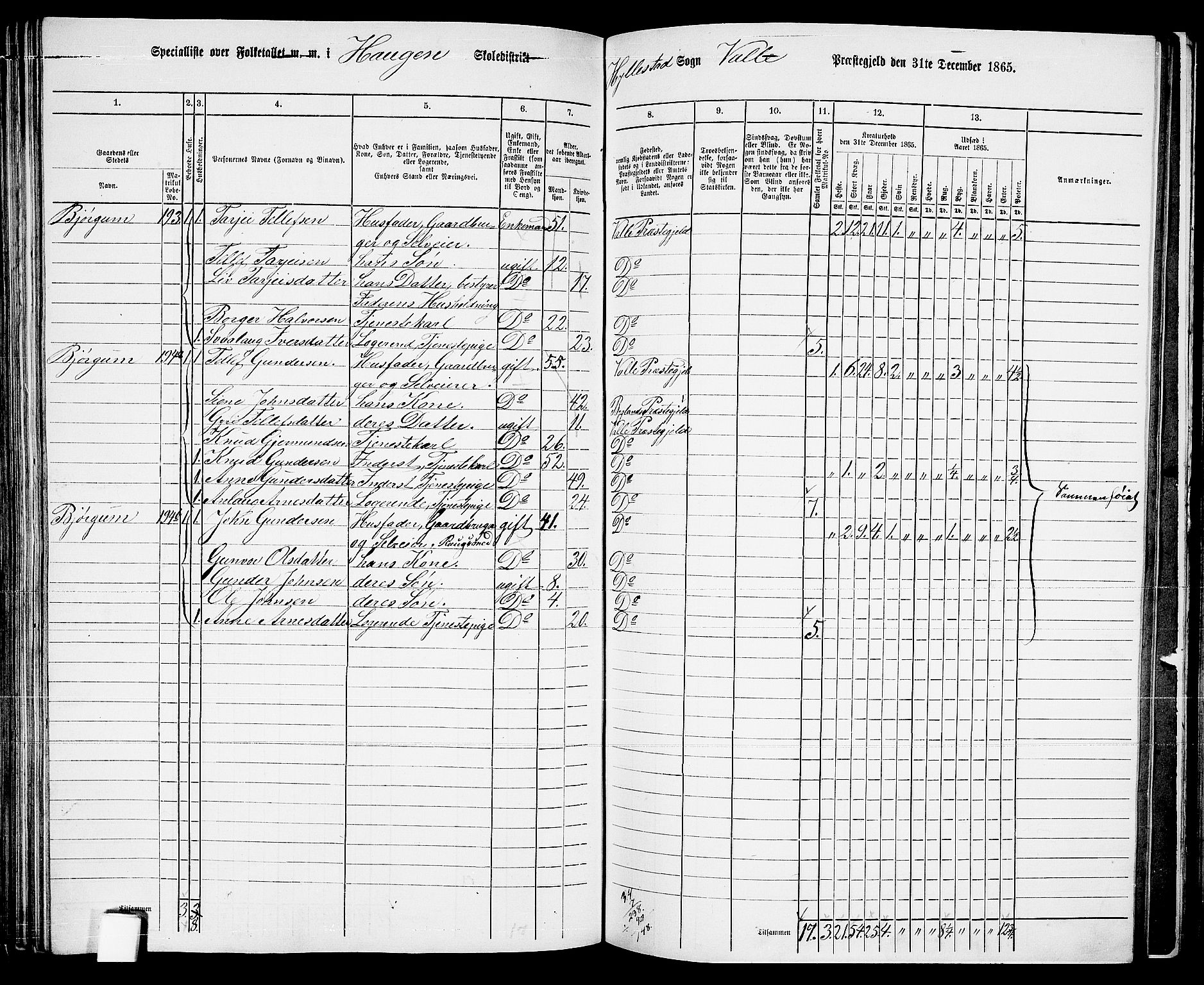 RA, 1865 census for Valle, 1865, p. 119