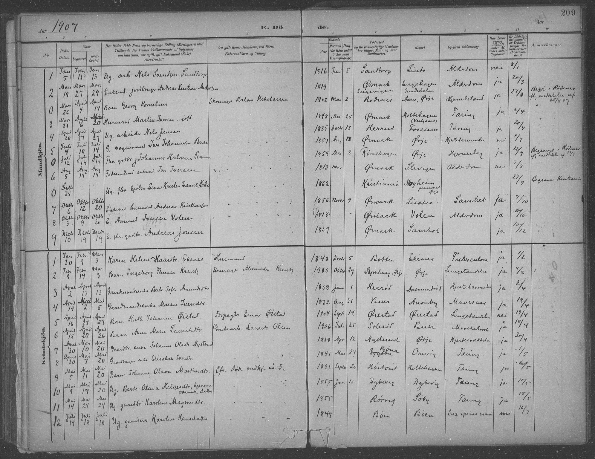 Aremark prestekontor Kirkebøker, SAO/A-10899/F/Fb/L0005: Parish register (official) no. II 5, 1895-1919, p. 209