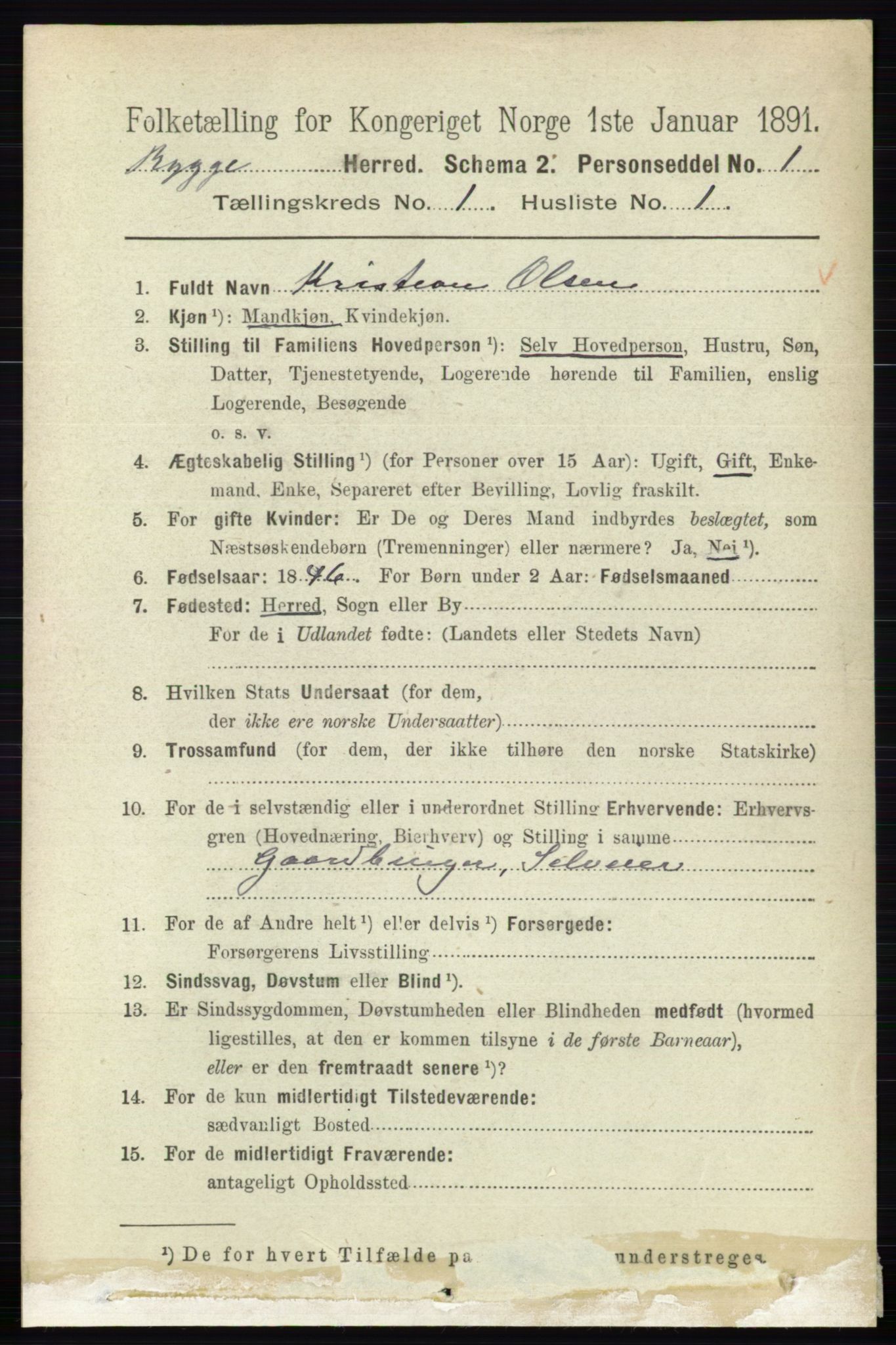 RA, 1891 census for 0136 Rygge, 1891, p. 163