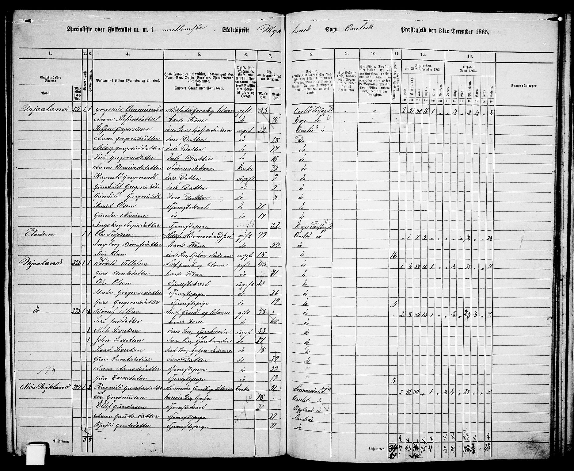 RA, 1865 census for Åmli, 1865, p. 82