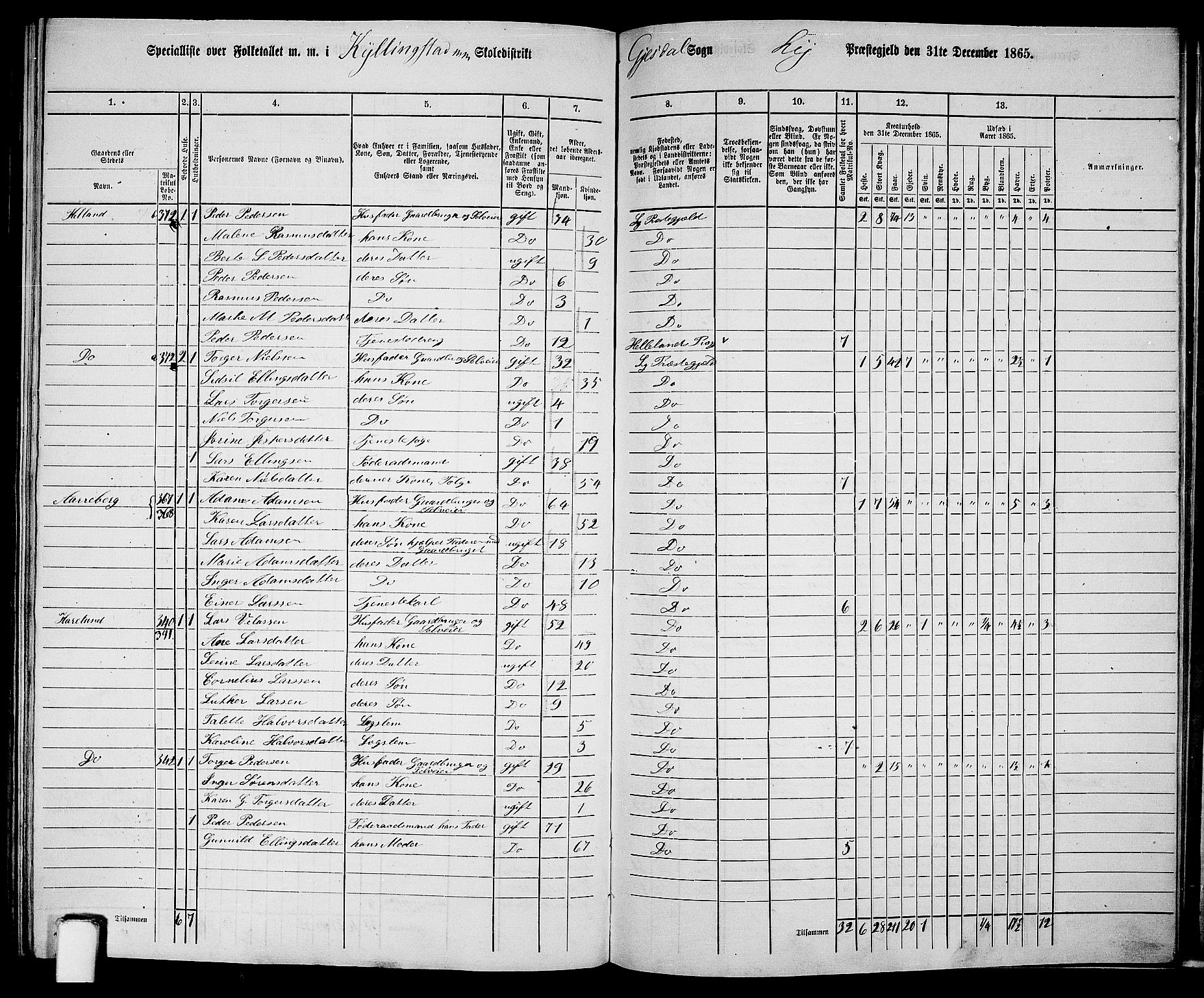 RA, 1865 census for Lye, 1865, p. 137