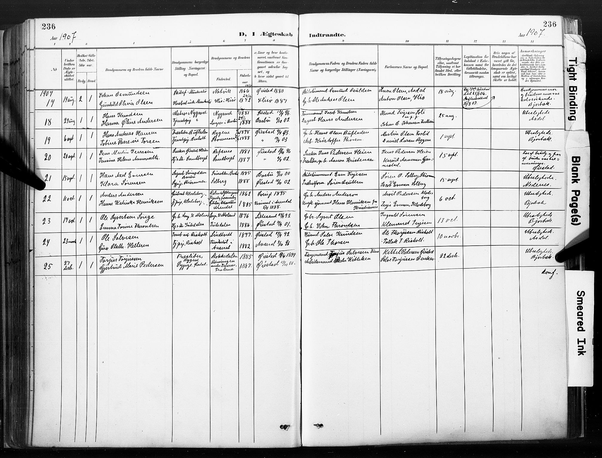 Øyestad sokneprestkontor, SAK/1111-0049/F/Fa/L0018: Parish register (official) no. A 18, 1897-1907, p. 236