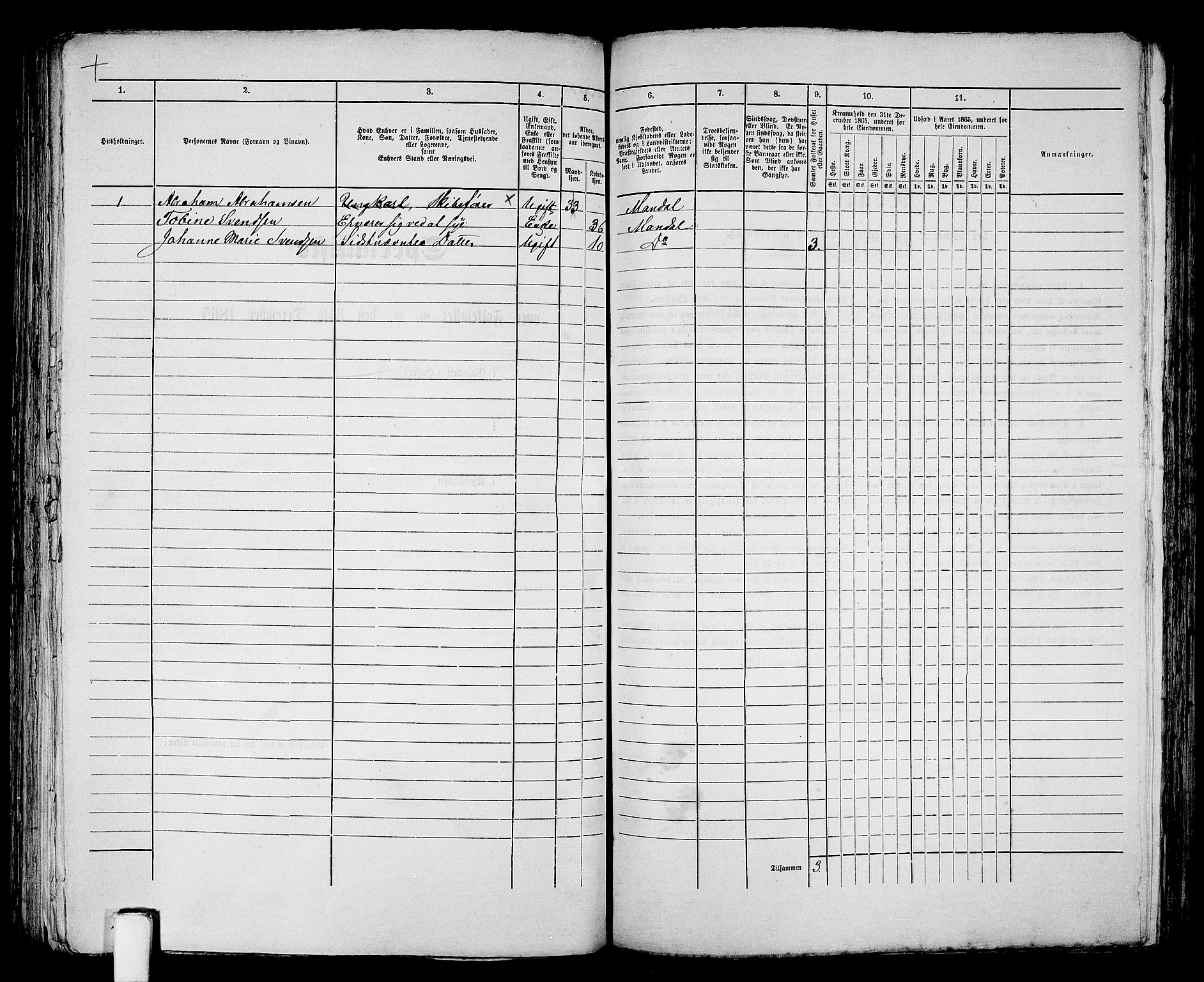 RA, 1865 census for Mandal/Mandal, 1865, p. 245