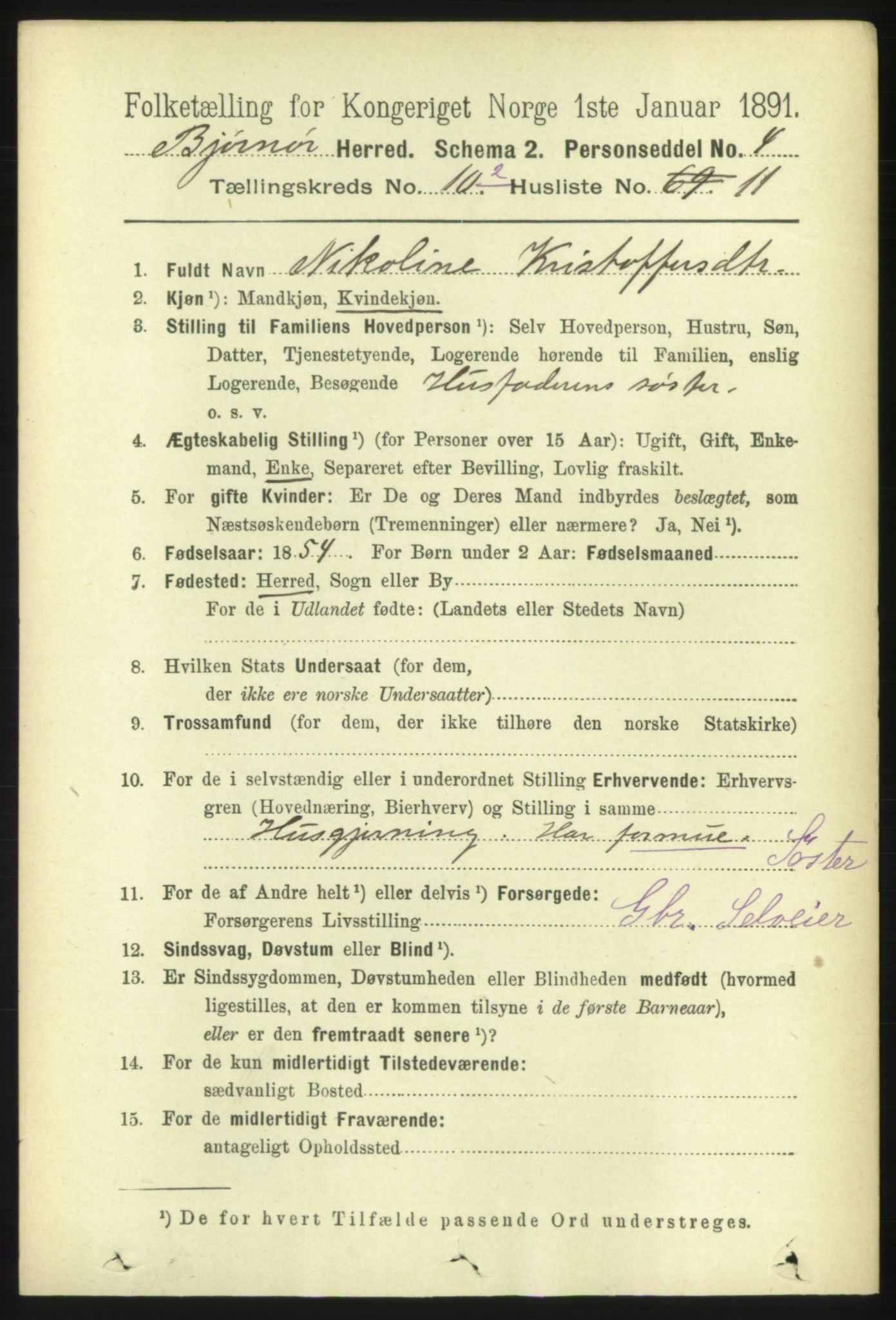 RA, 1891 census for 1632 Bjørnør, 1891, p. 4599