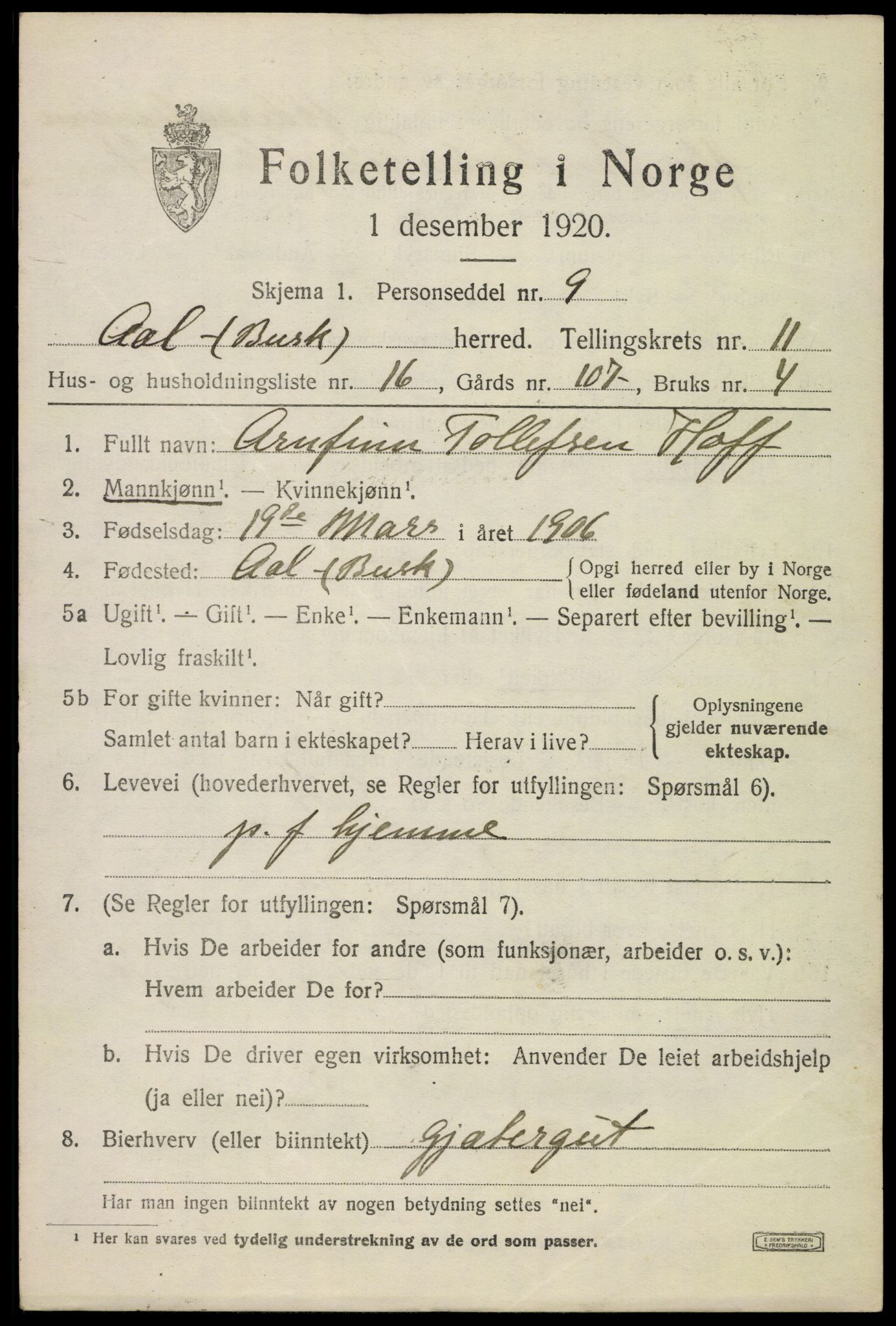 SAKO, 1920 census for Ål, 1920, p. 6438