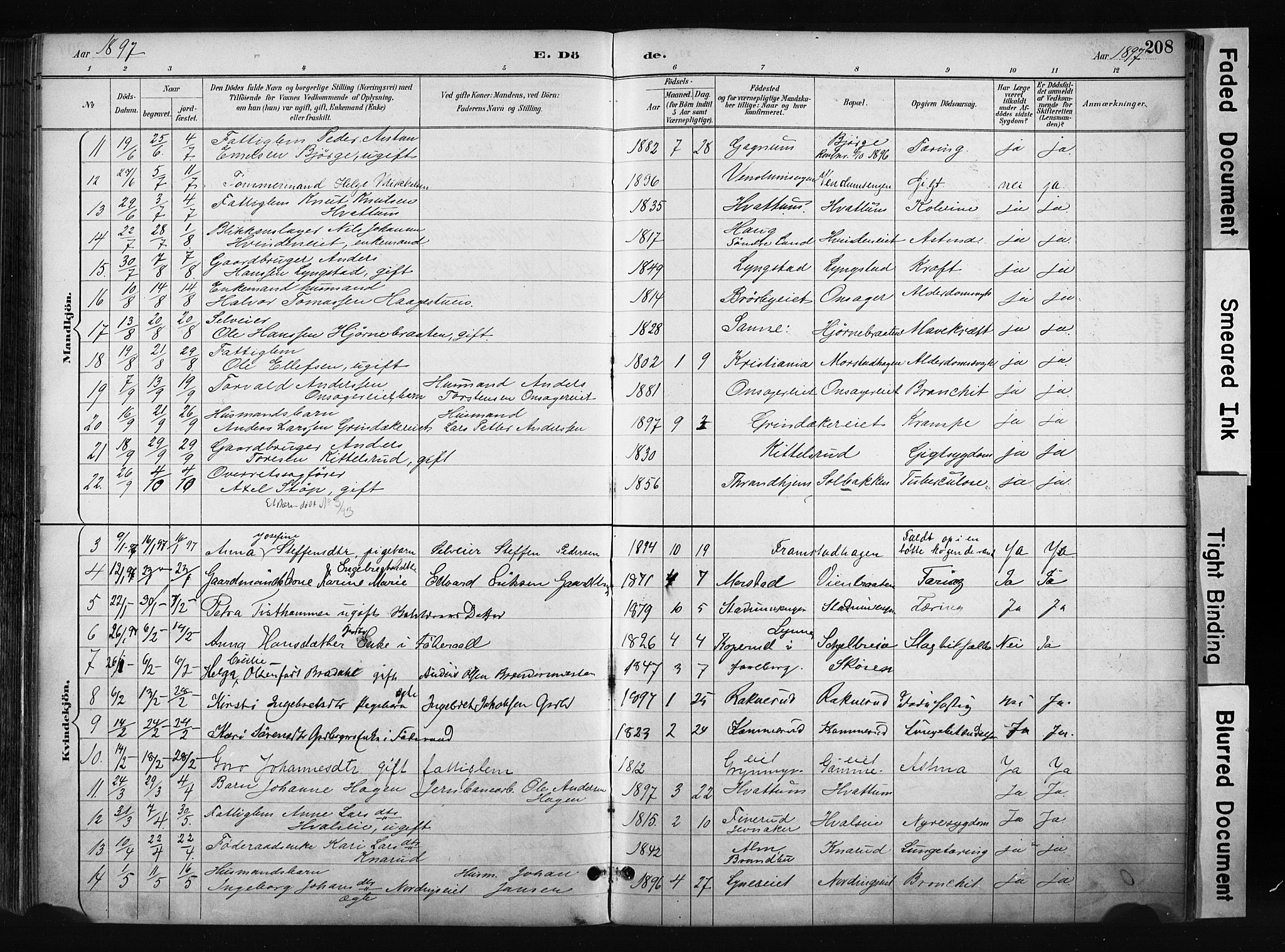 Gran prestekontor, SAH/PREST-112/H/Ha/Haa/L0017: Parish register (official) no. 17, 1889-1897, p. 208