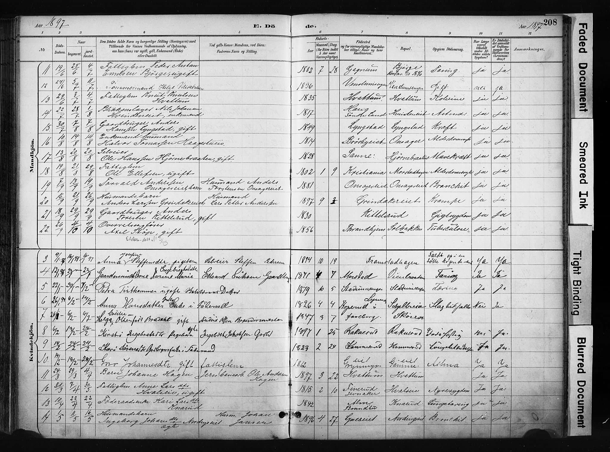 Gran prestekontor, AV/SAH-PREST-112/H/Ha/Haa/L0017: Parish register (official) no. 17, 1889-1897, p. 208