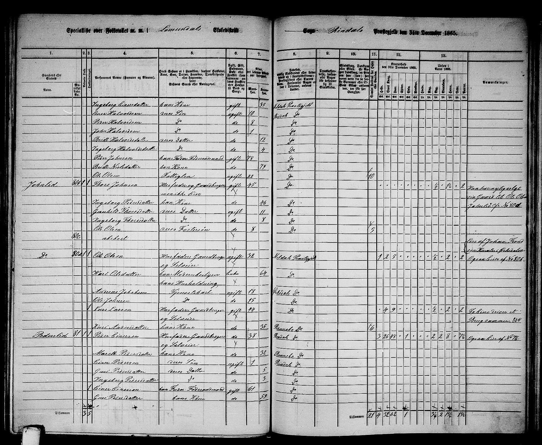 RA, 1865 census for Rindal, 1865, p. 8